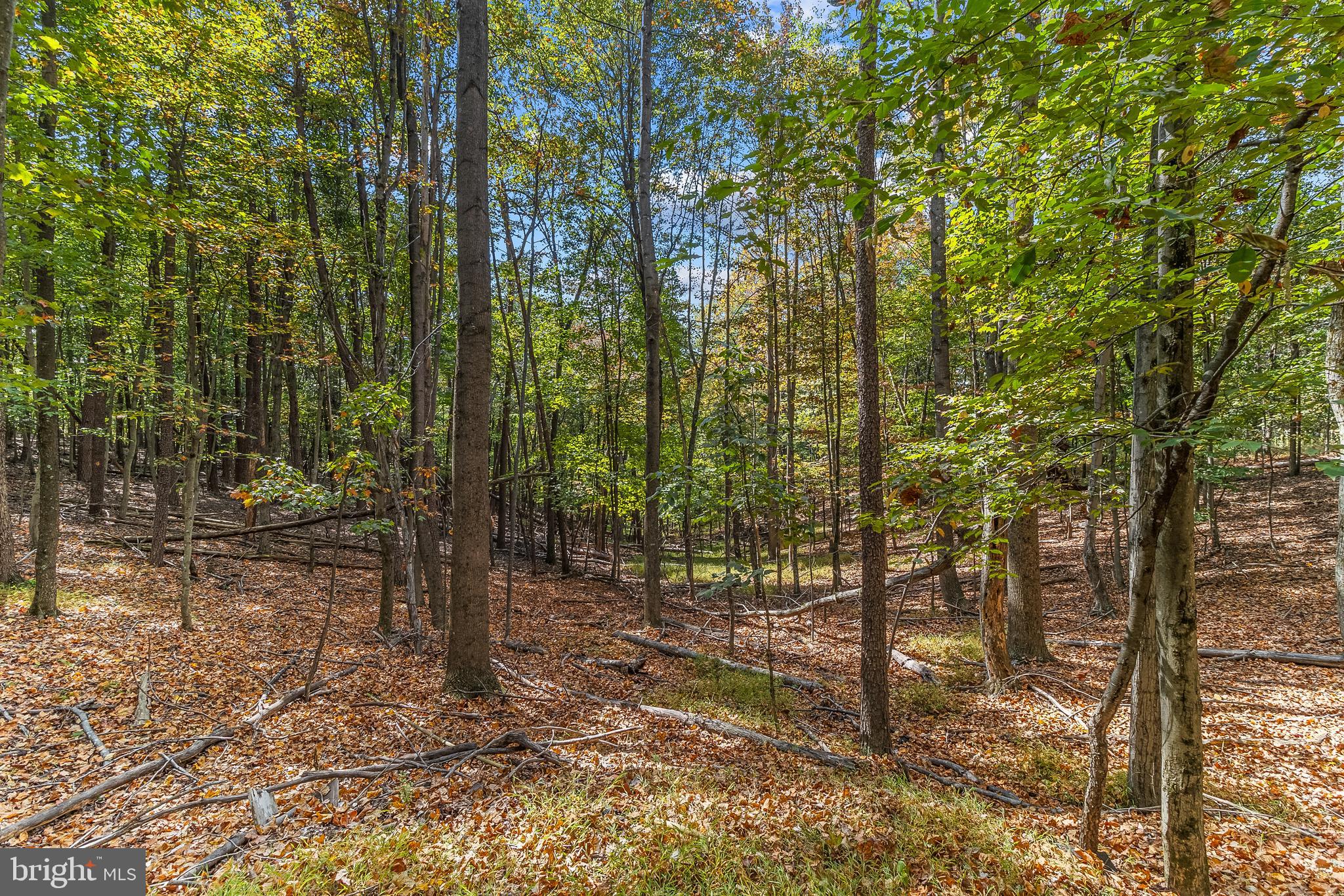 OAK FOREST SUBDIVISION - Residential