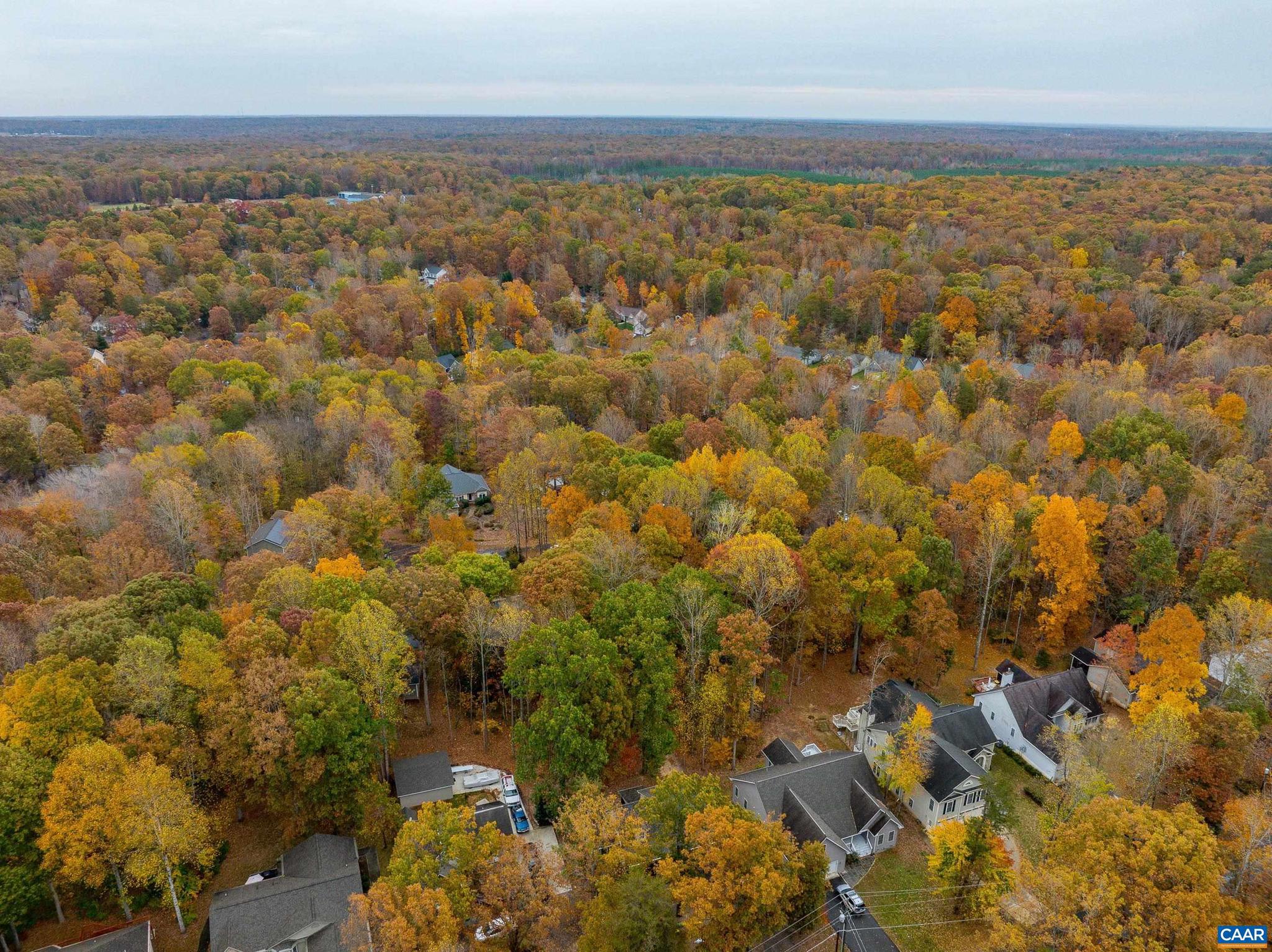 LAKE OF THE WOODS - Land