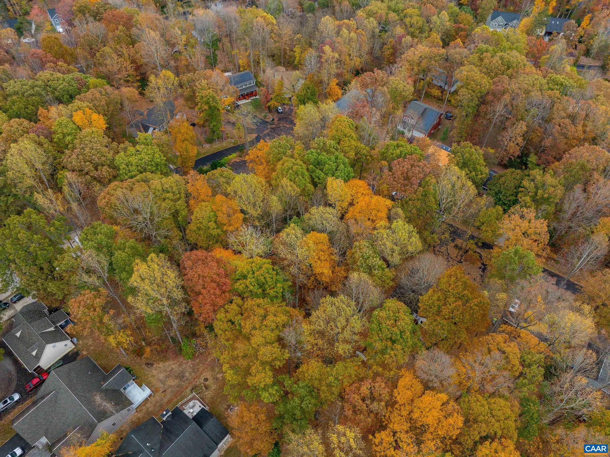 LAKE OF THE WOODS - Land