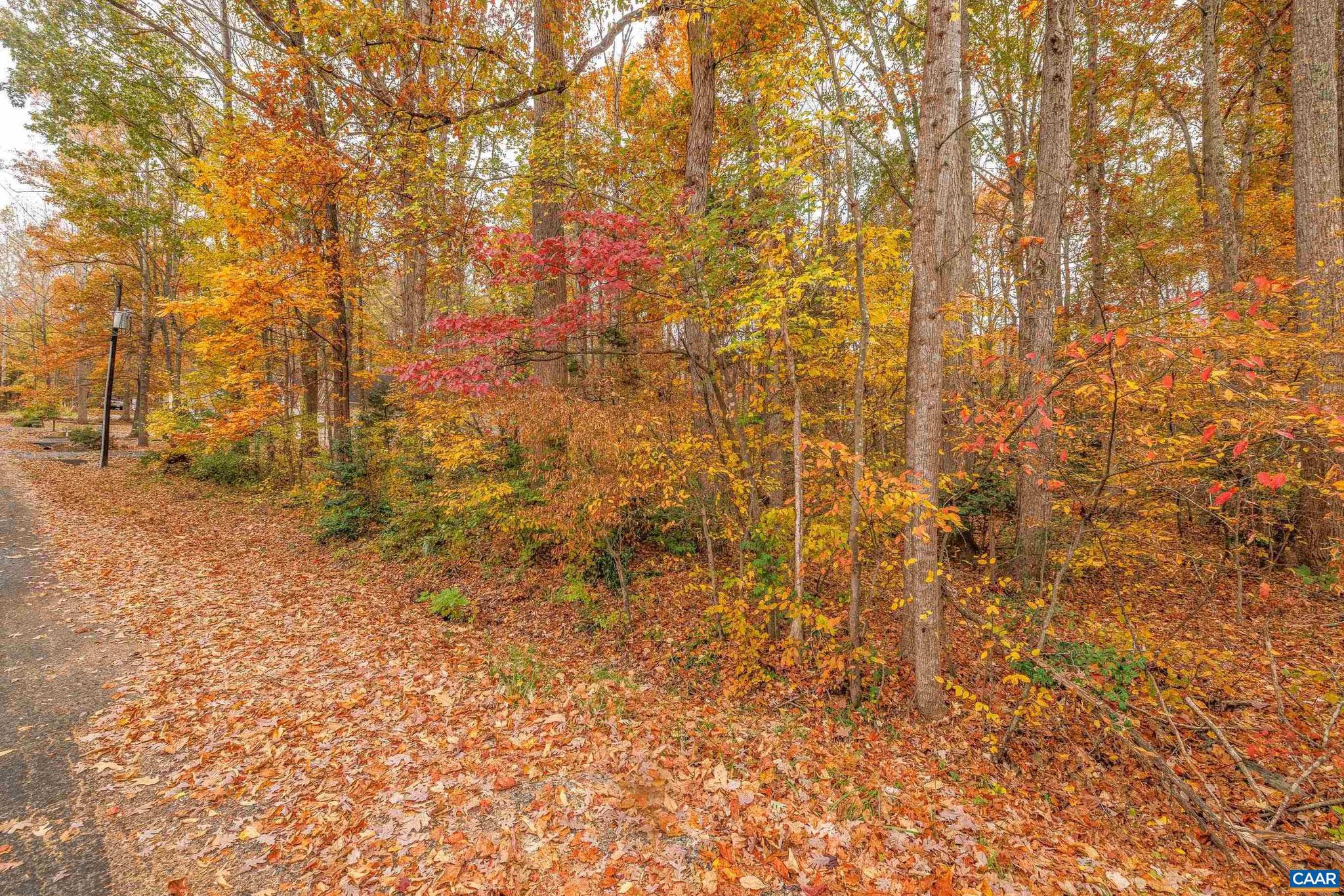 LAKE OF THE WOODS - Land