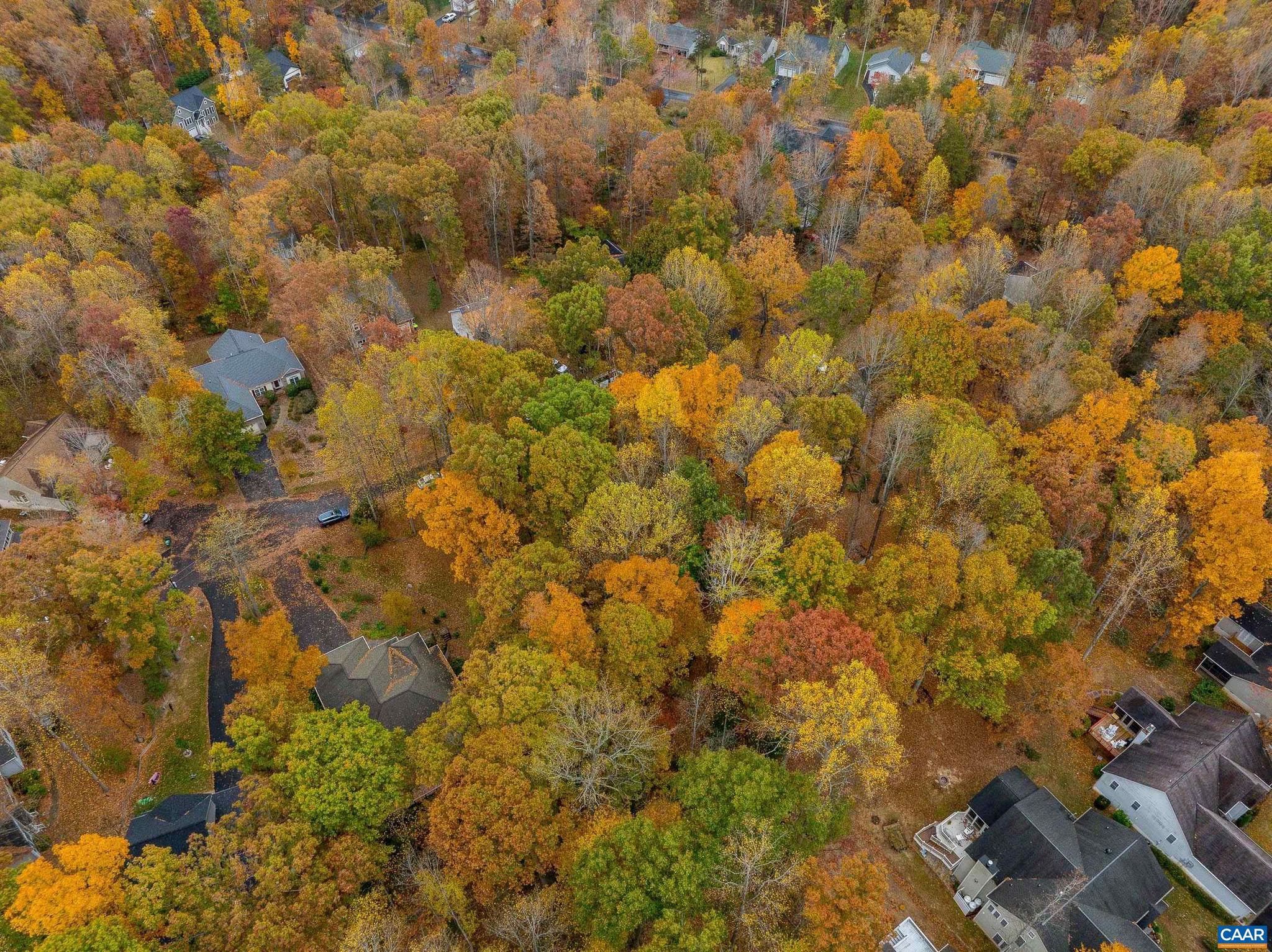 LAKE OF THE WOODS - Land