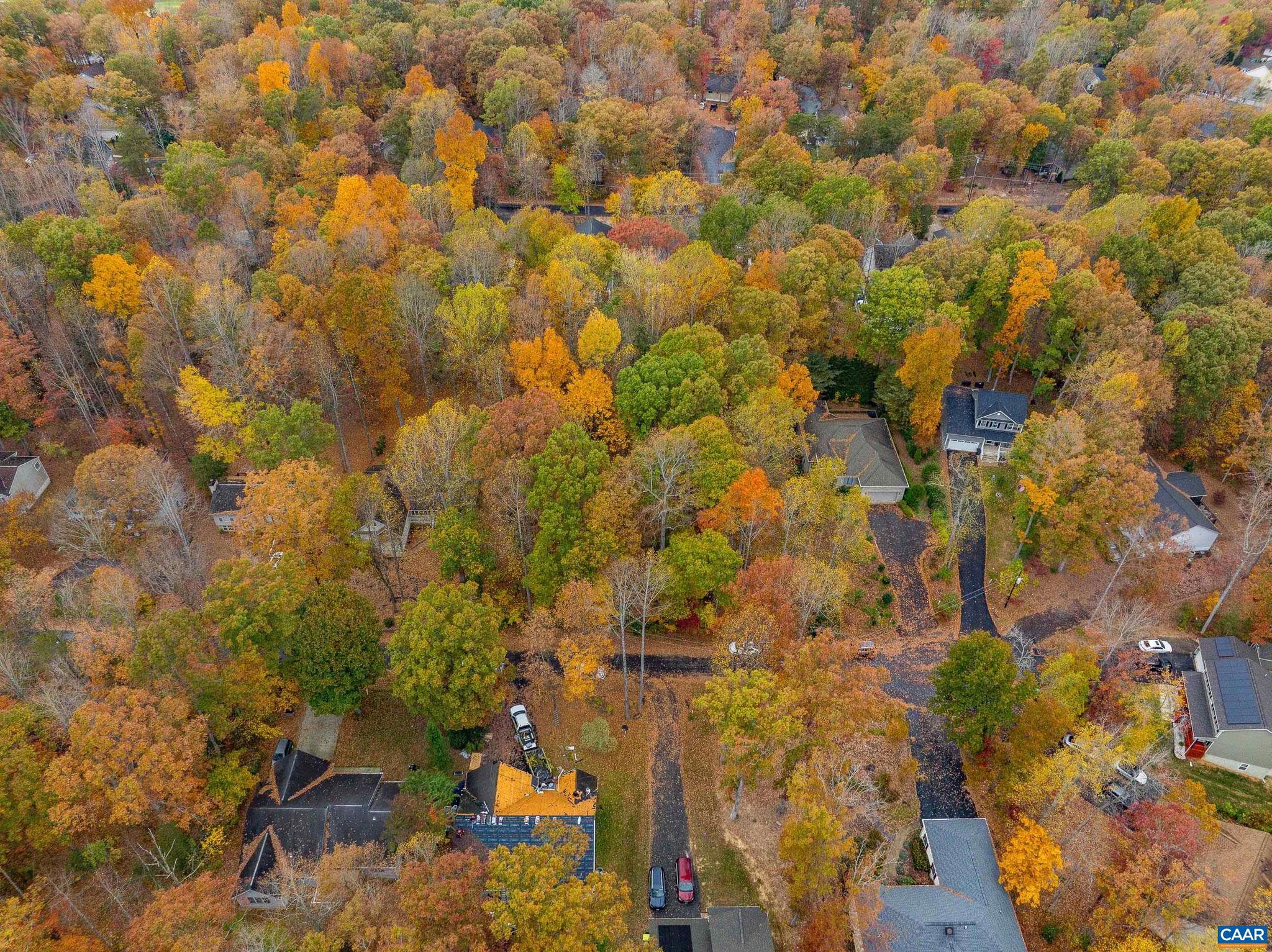 LAKE OF THE WOODS - Land