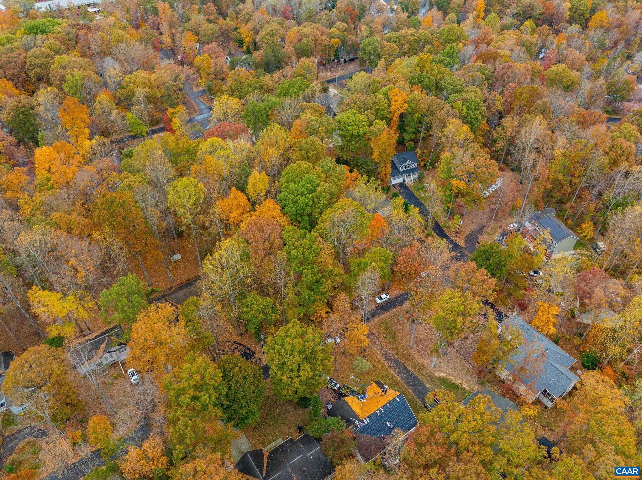 LAKE OF THE WOODS - Land