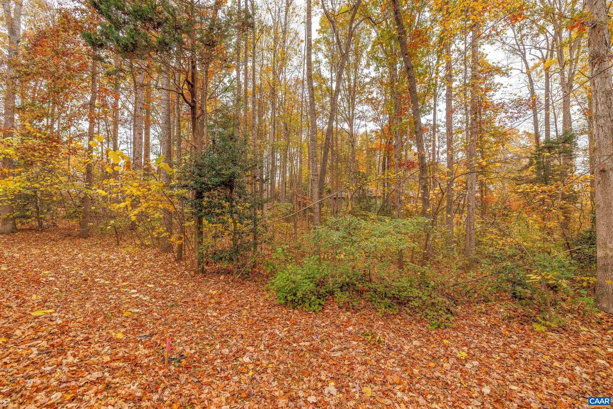 LAKE OF THE WOODS - Land