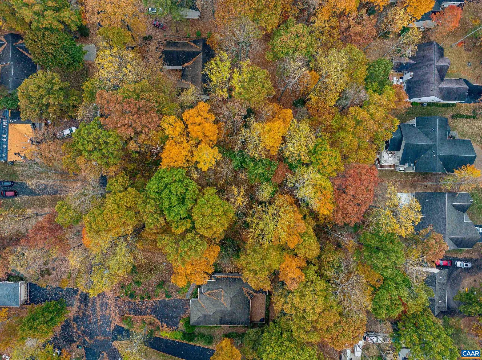 LAKE OF THE WOODS - Land