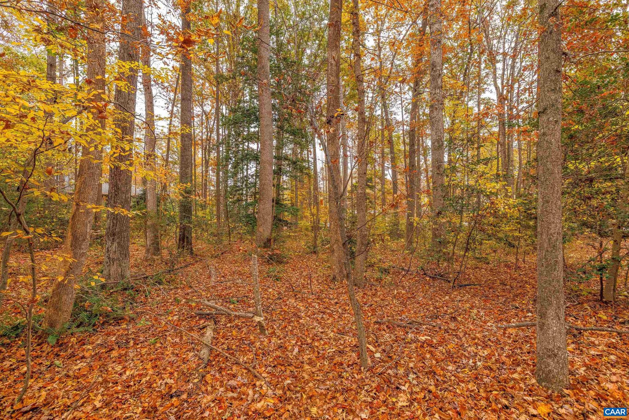 LAKE OF THE WOODS - Land