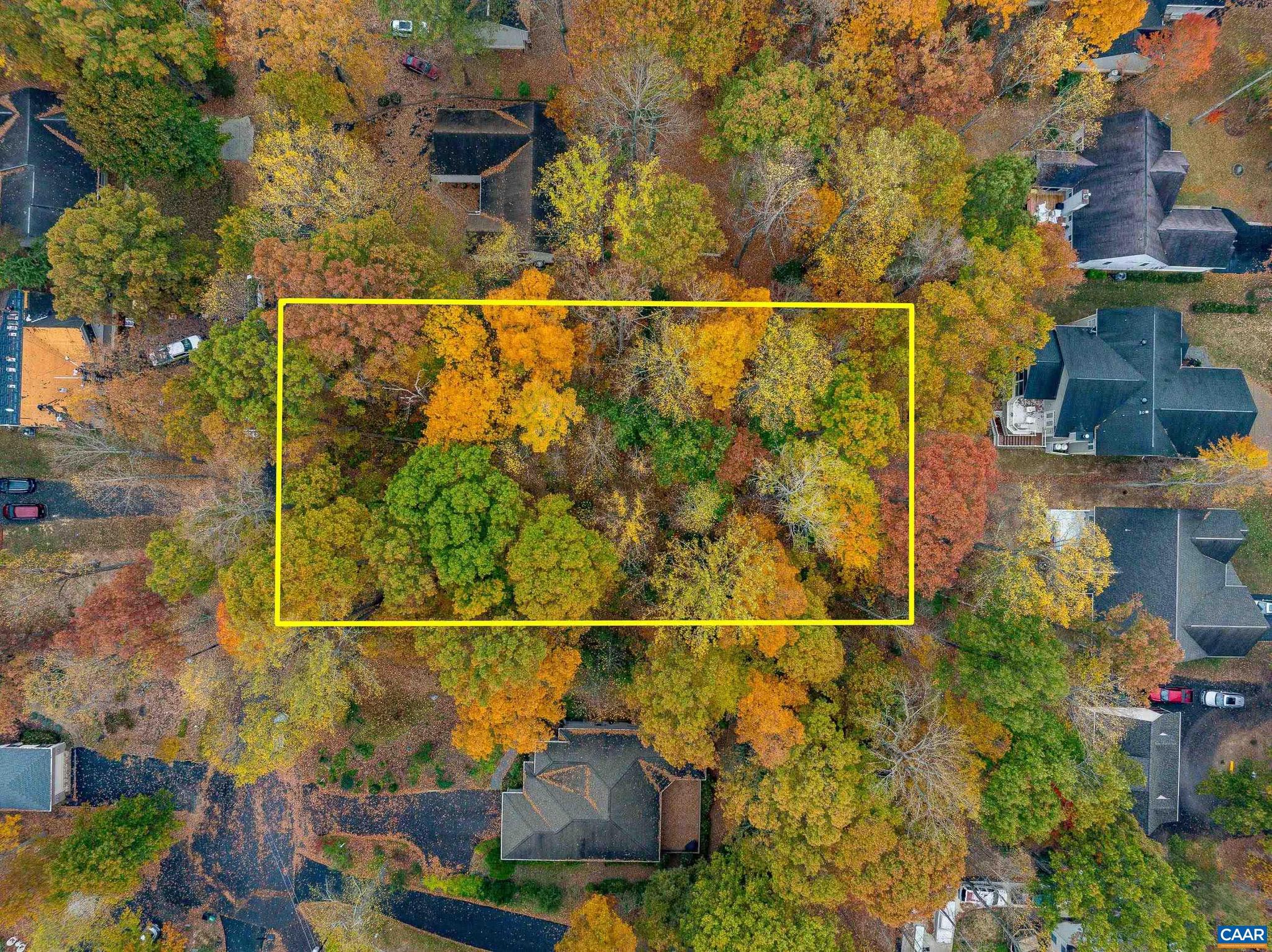 LAKE OF THE WOODS - Land