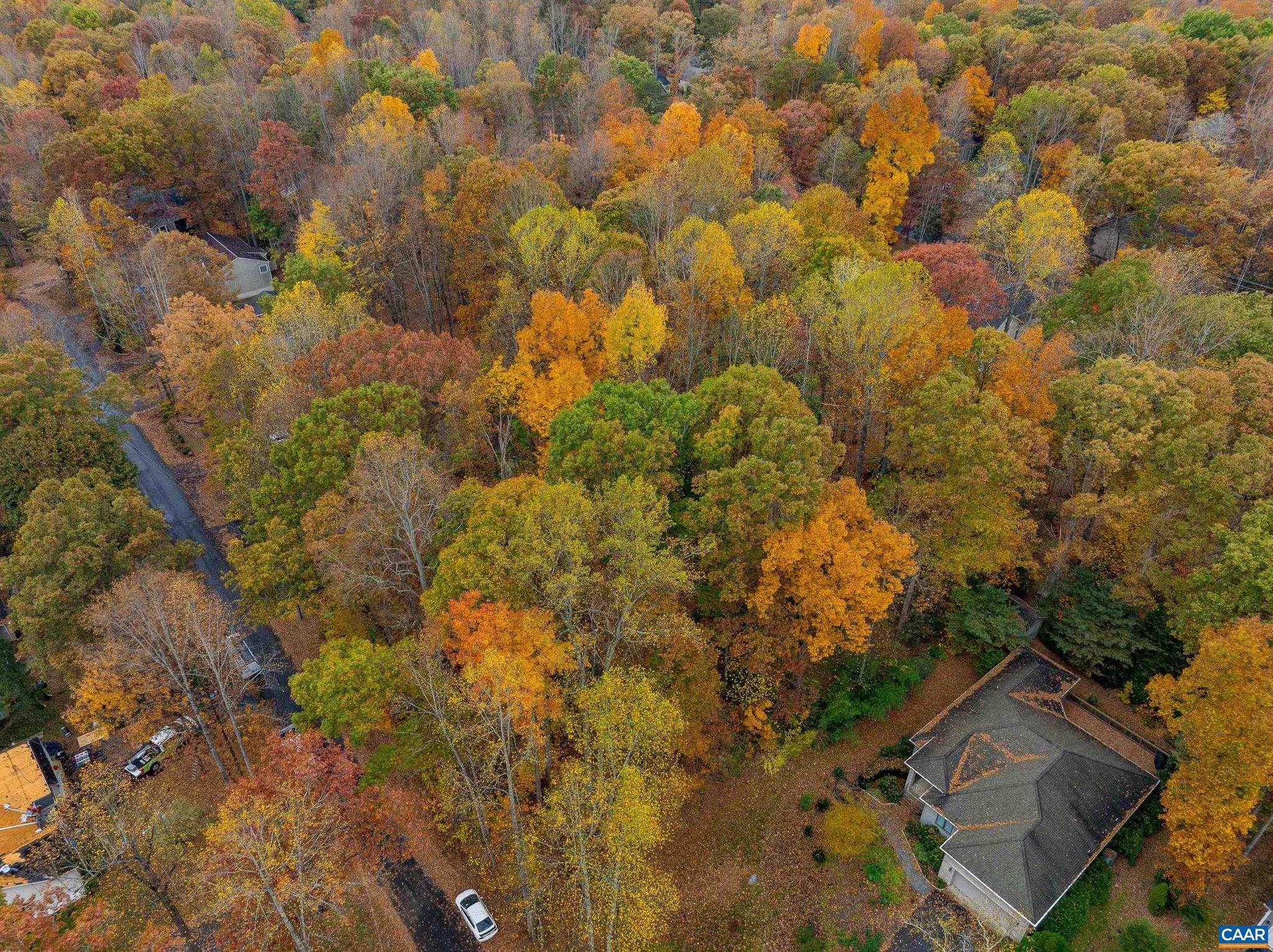 LAKE OF THE WOODS - Land