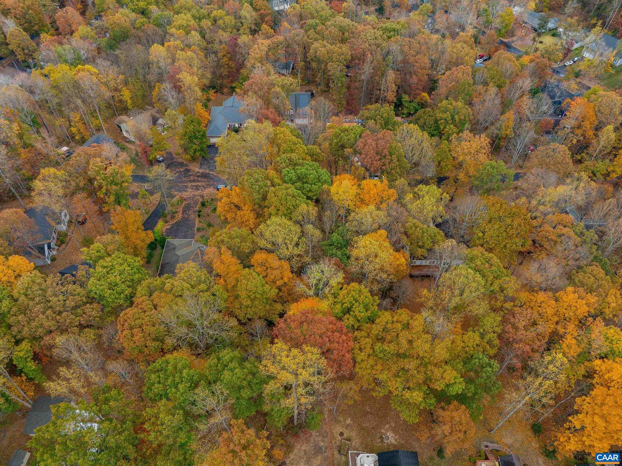 LAKE OF THE WOODS - Land