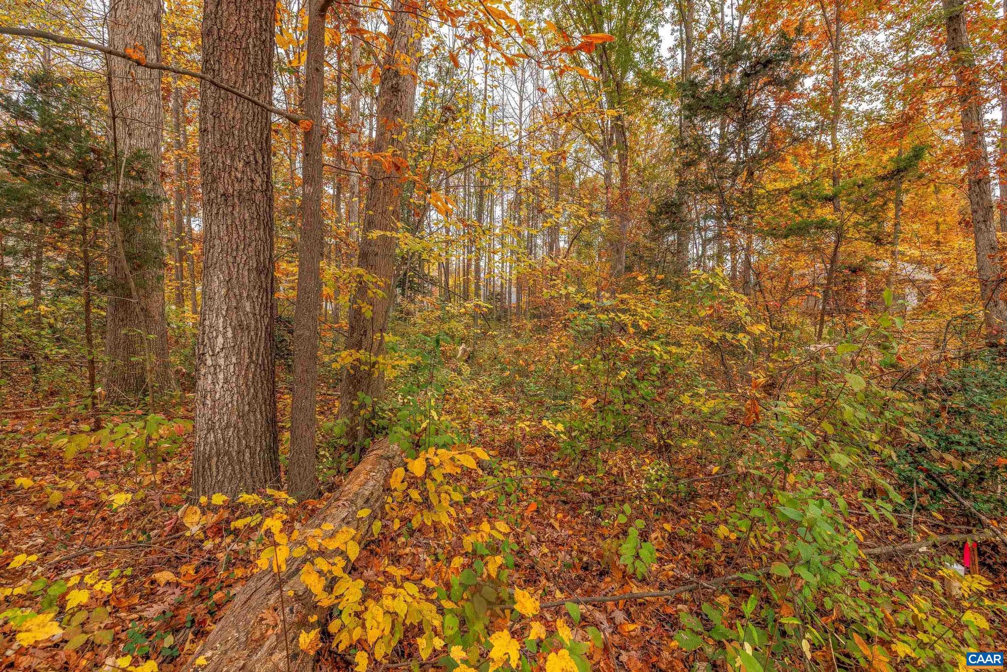 LAKE OF THE WOODS - Land