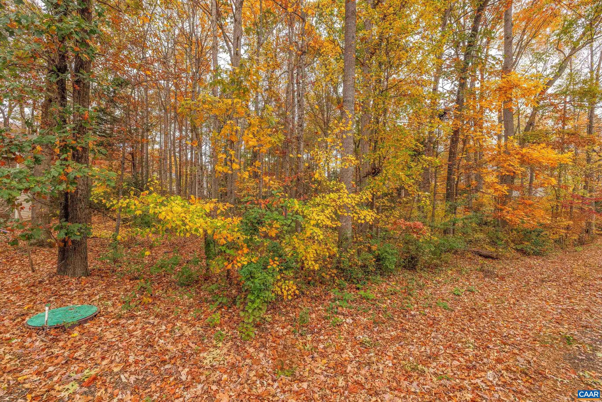 LAKE OF THE WOODS - Land