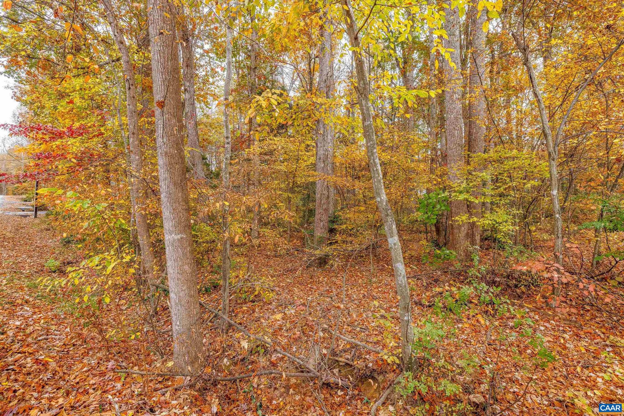 LAKE OF THE WOODS - Land