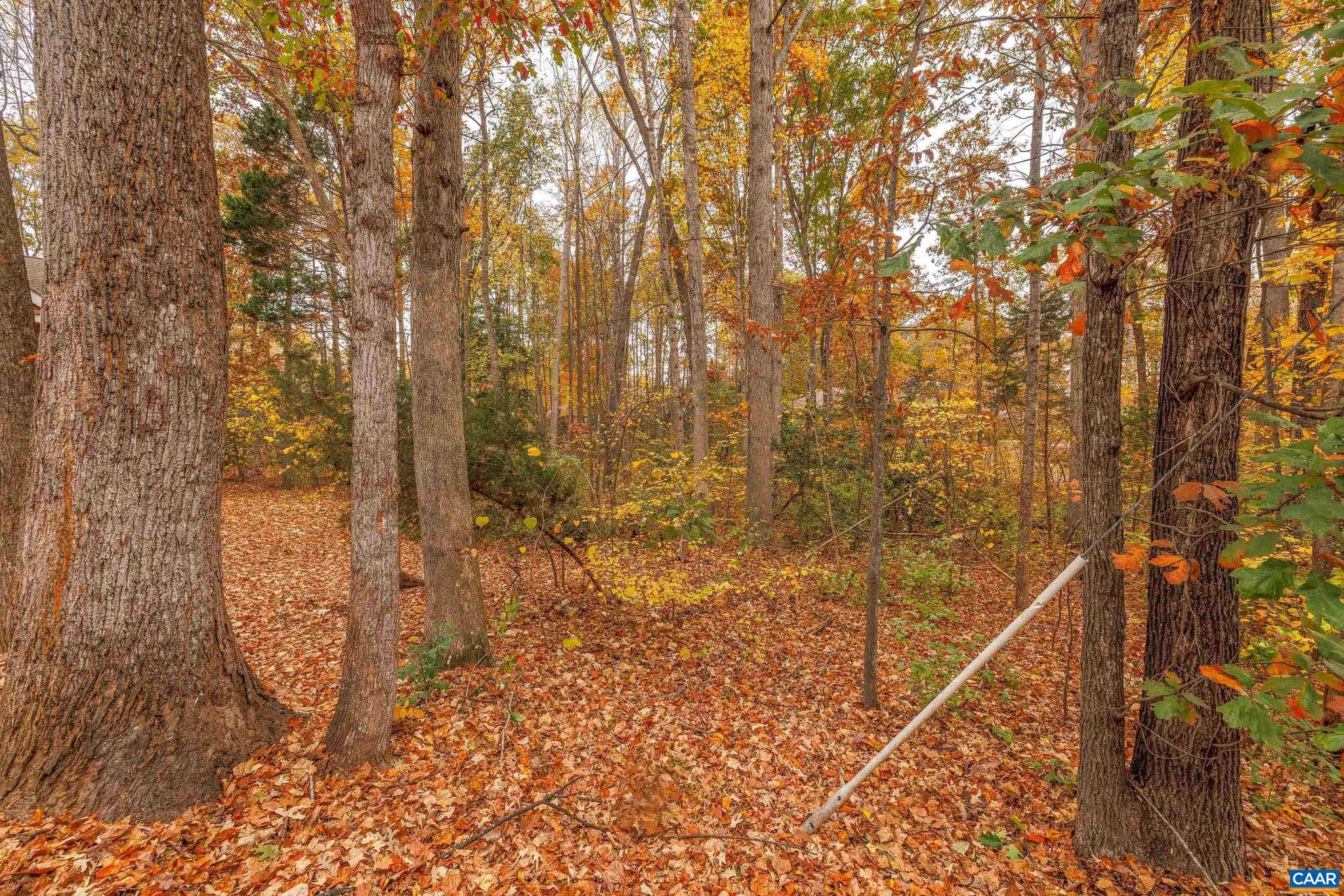 LAKE OF THE WOODS - Land