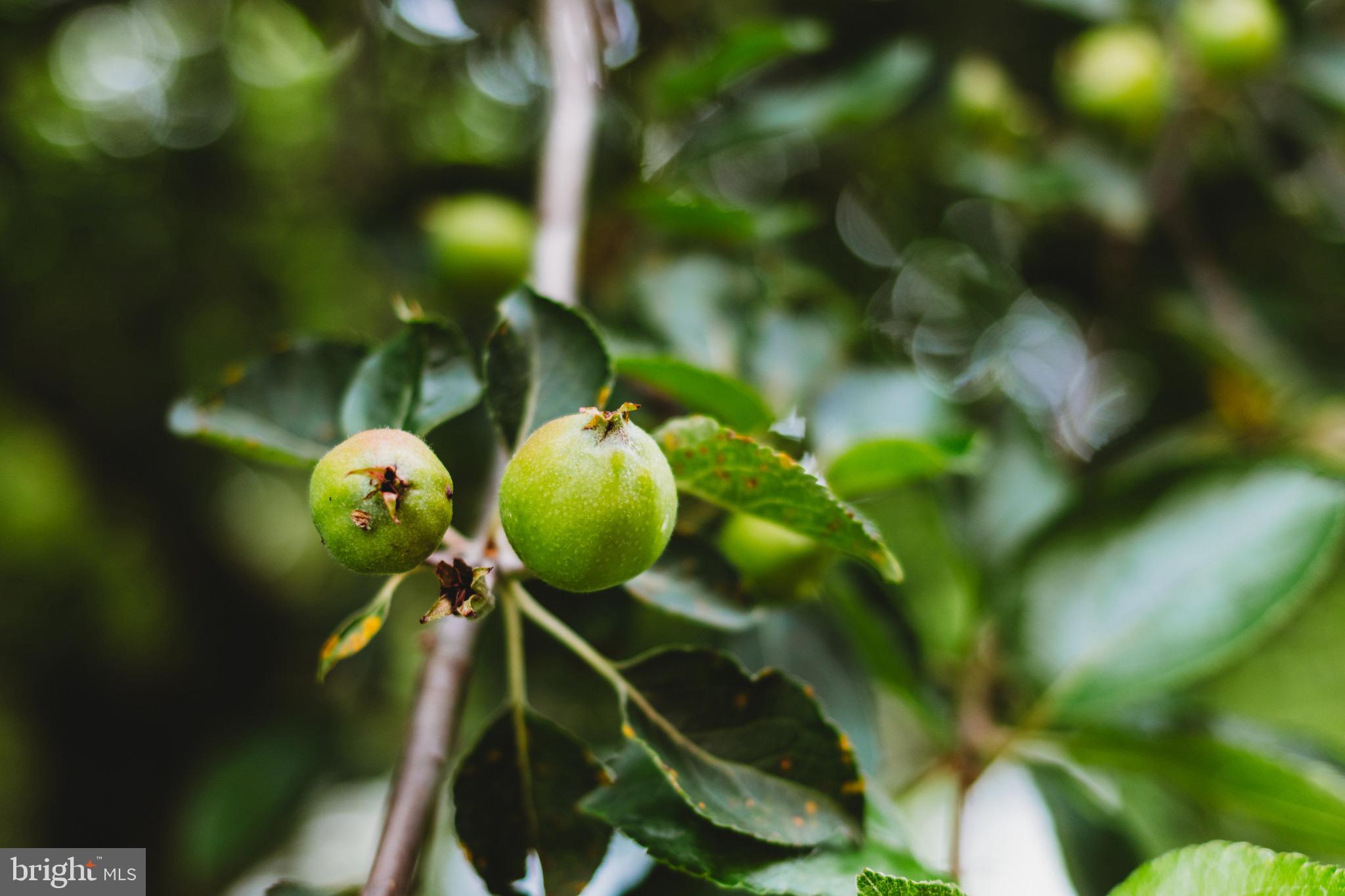 GRETCHEN ACRES - Residential