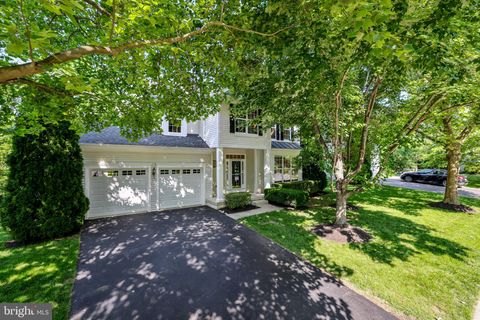 17542 FALLS PLACE ROUND HILL VA 20141