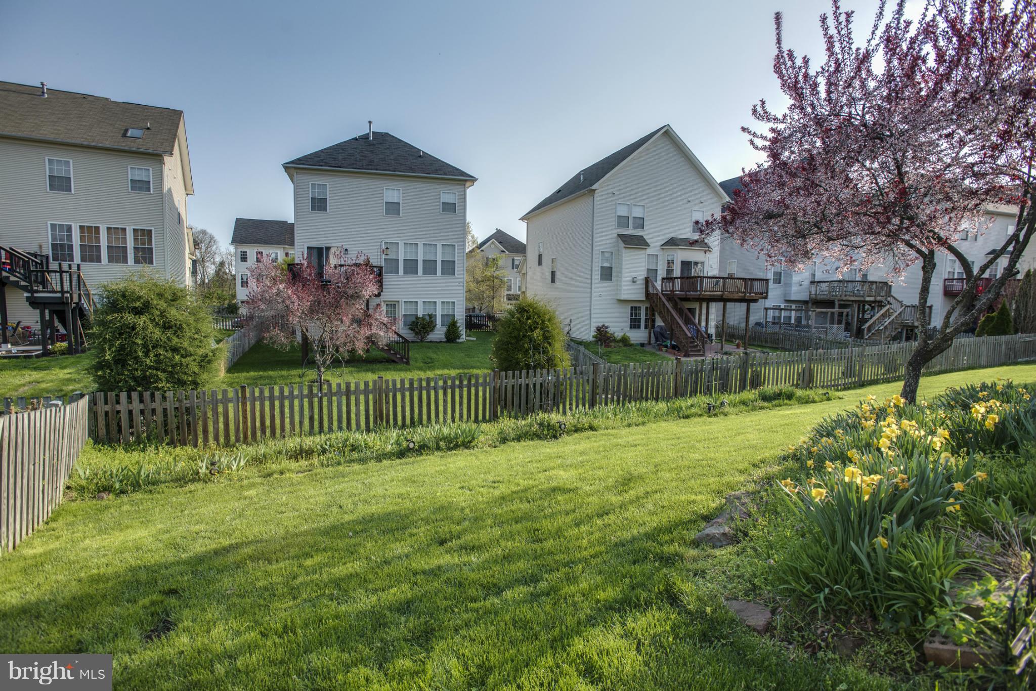 INDEPENDENCE/UNIV VLG - Residential