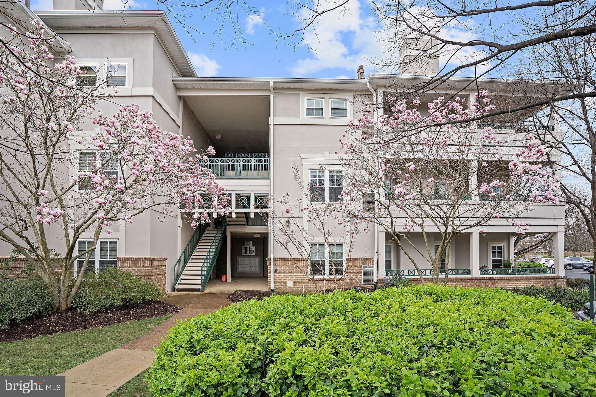 RESTON TOWN CENTER - Residential