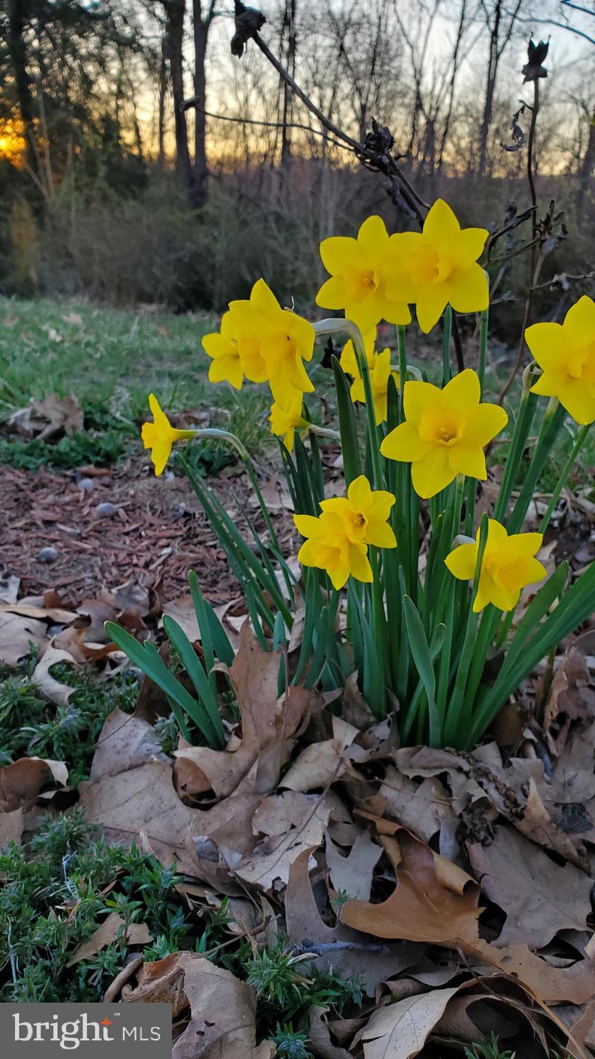 HITES CHAPEL ESTATES - Residential