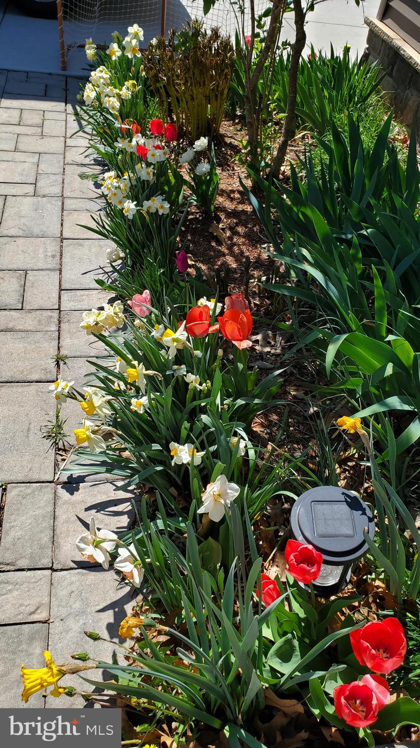 HITES CHAPEL ESTATES - Residential