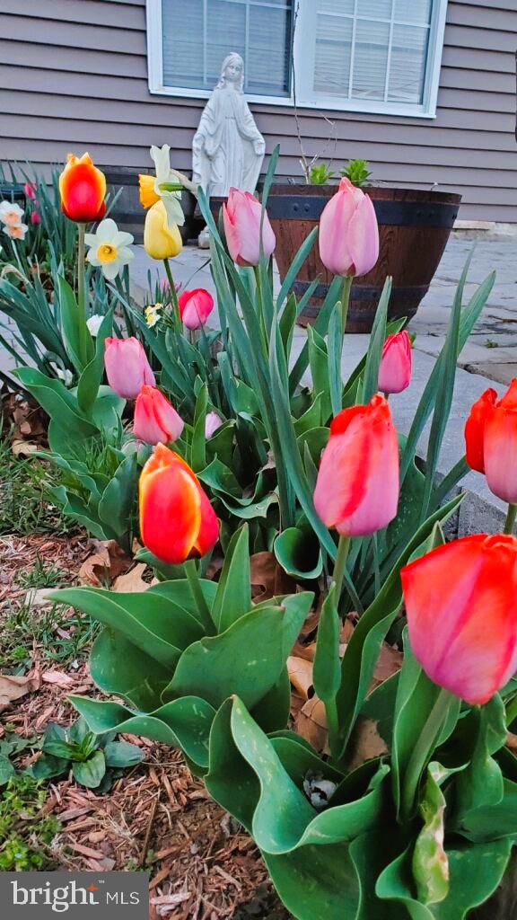 HITES CHAPEL ESTATES - Residential