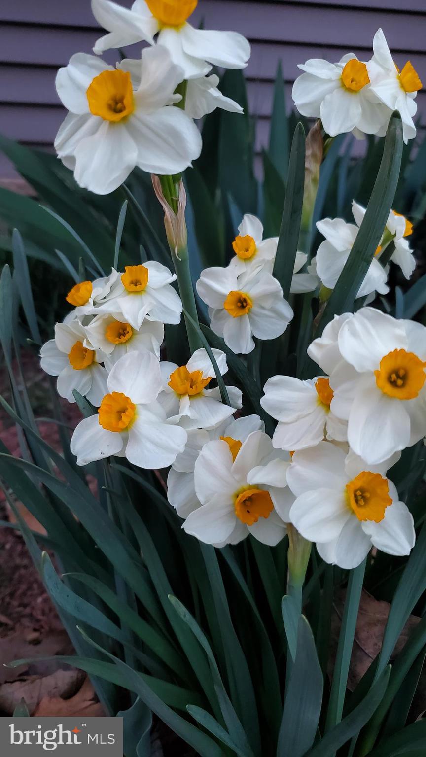 HITES CHAPEL ESTATES - Residential