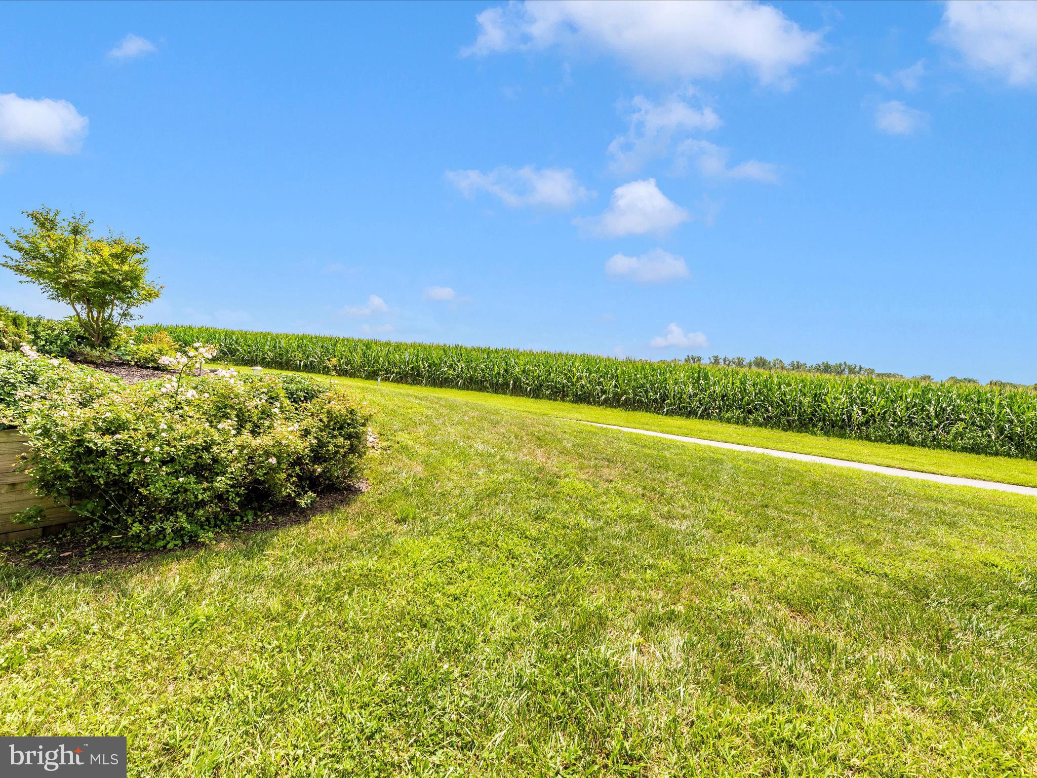 TALBOT RIDGE FARMS - Residential