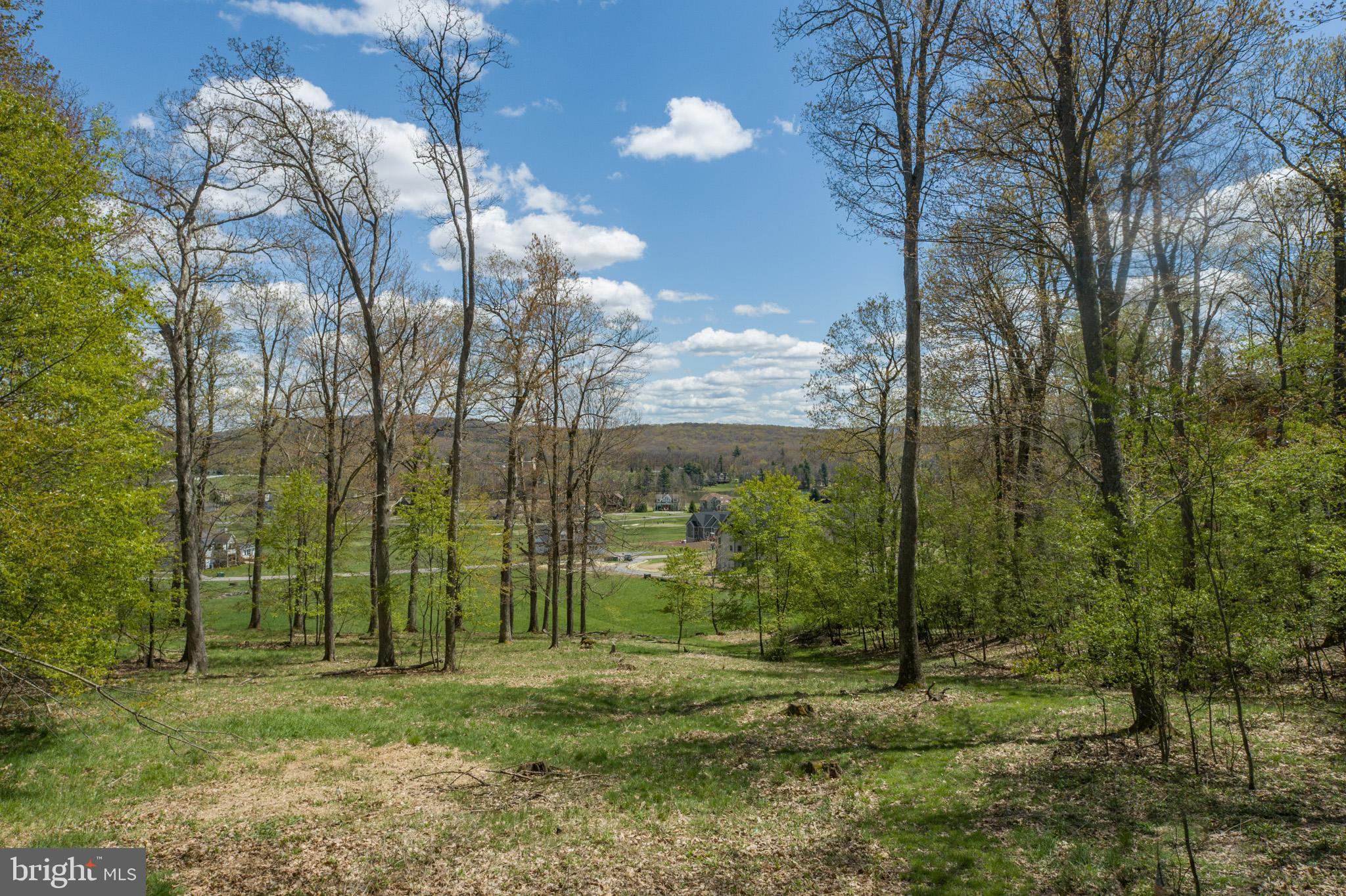 WATERFRONT GREENS - Residential