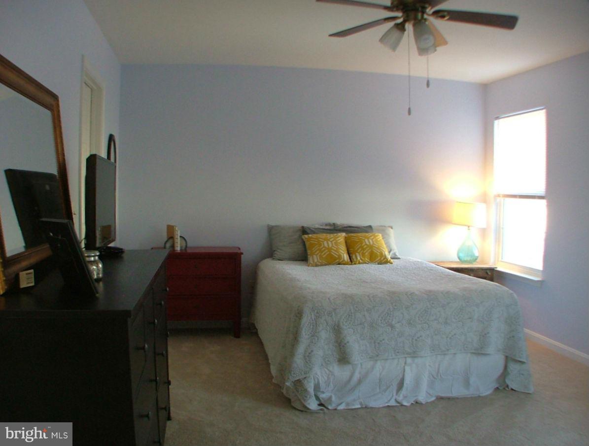 POTOMAC STATION - Residential