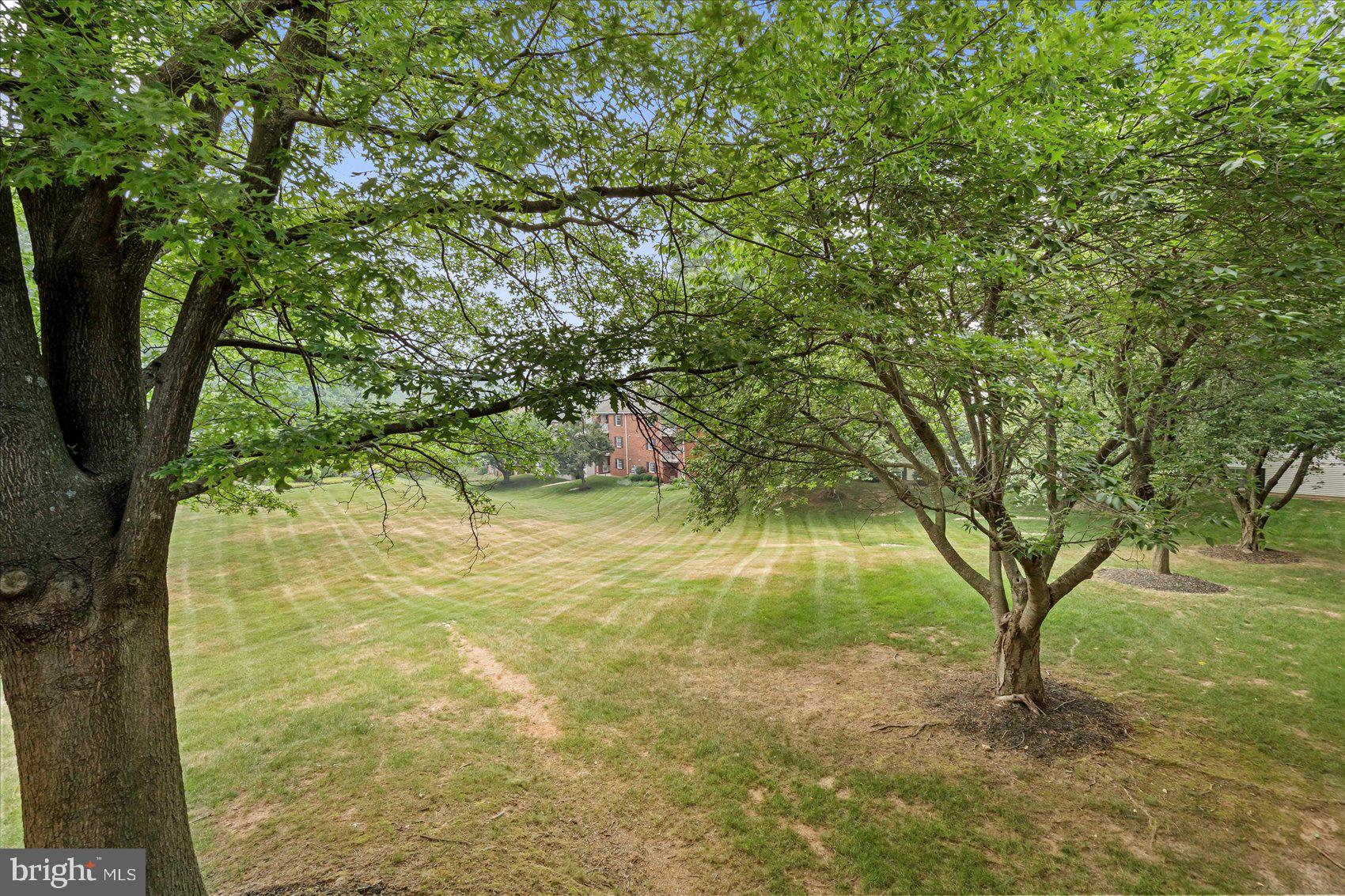 MAYS CHAPEL - Residential