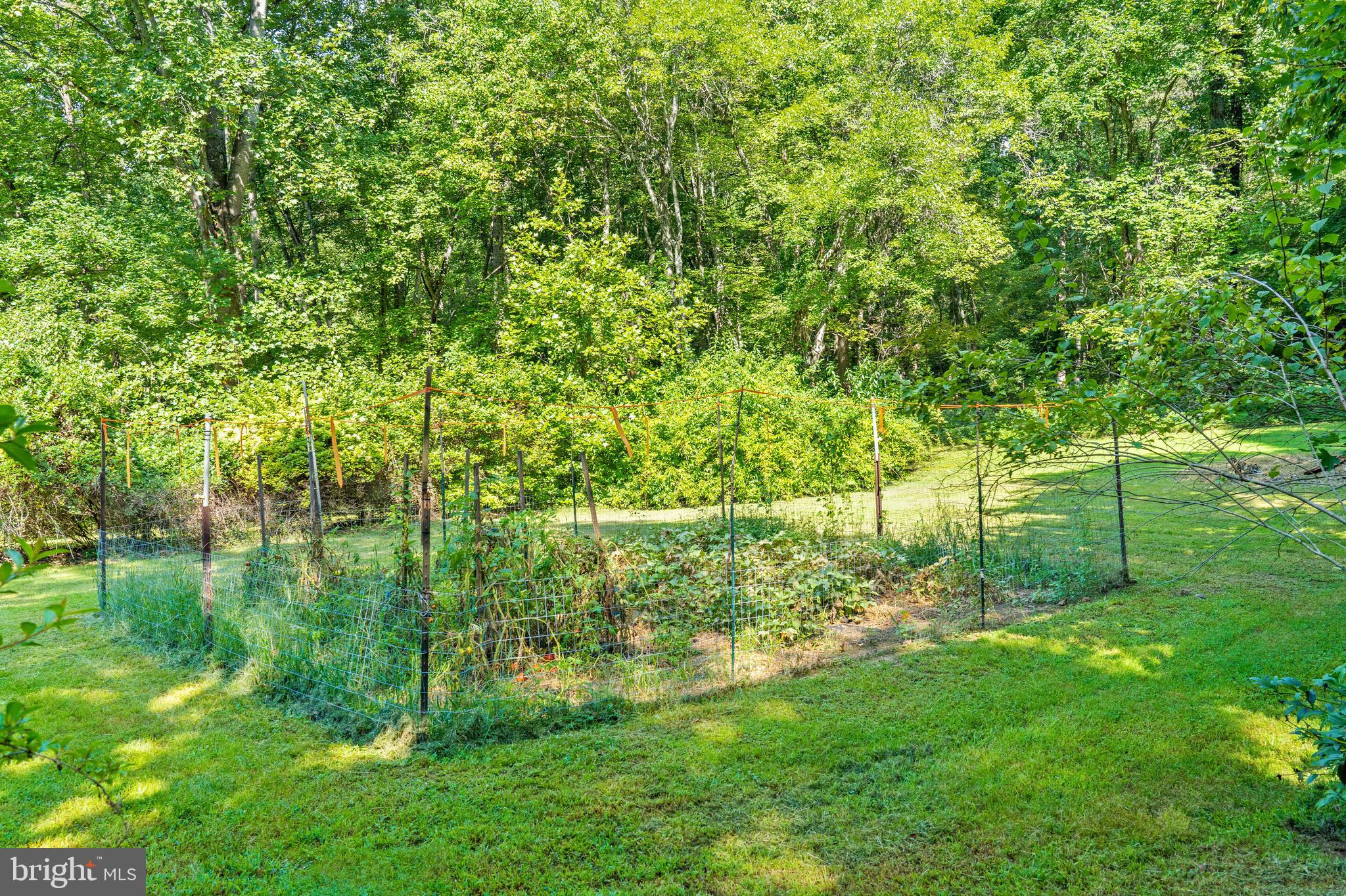 WATERLOO WOODS - Residential