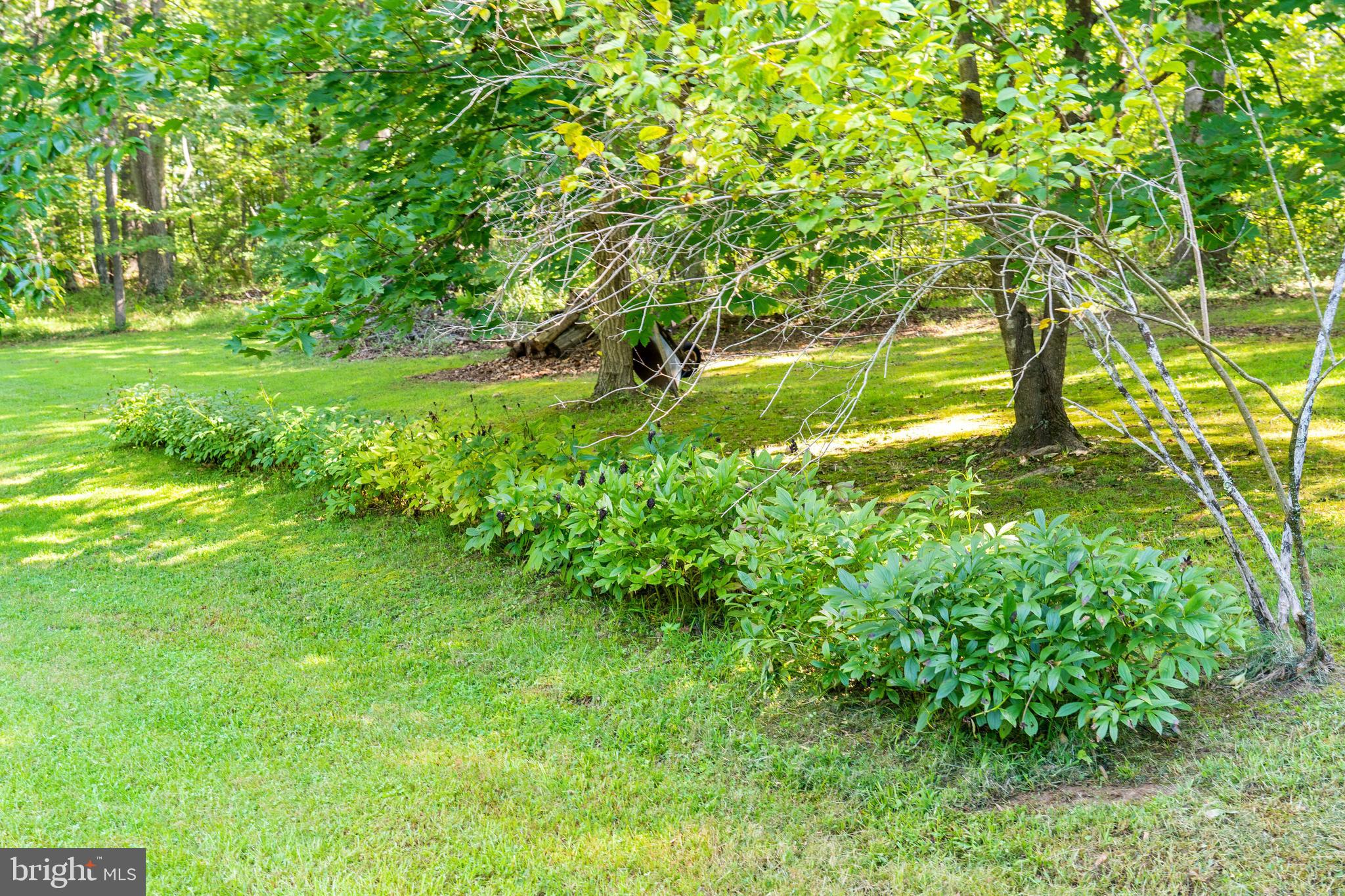 WATERLOO WOODS - Residential