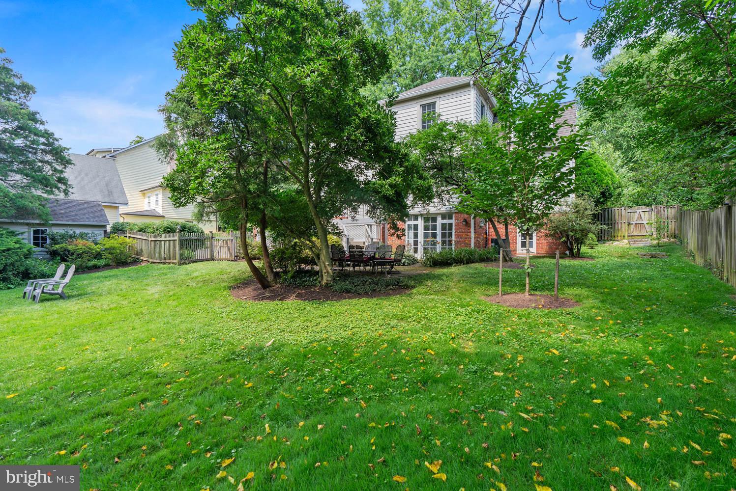 CHEVY CHASE - Residential