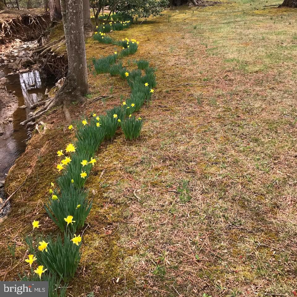 BALDWIN RIDGE - Residential