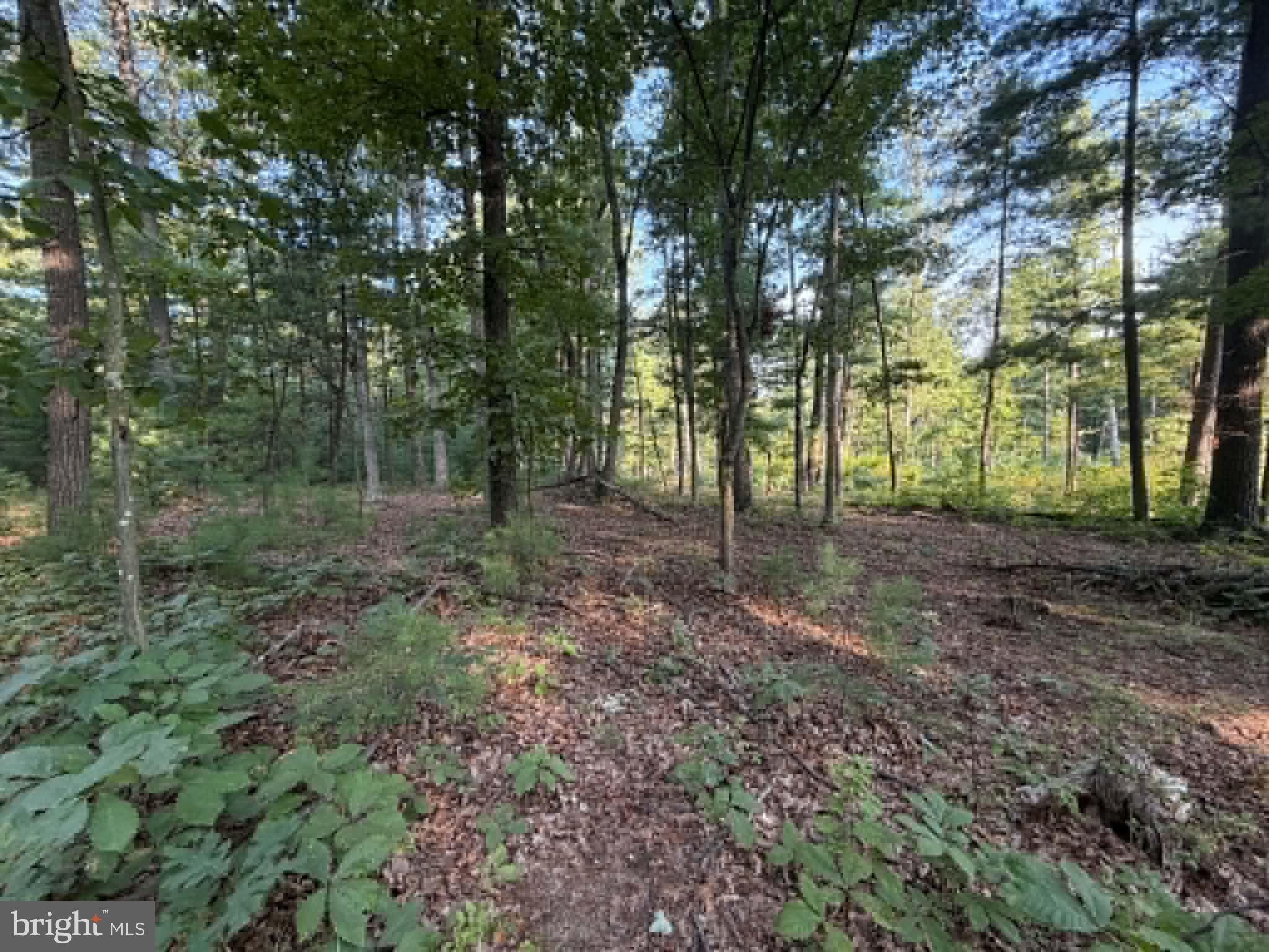 Lot 9 HICKORY LANE