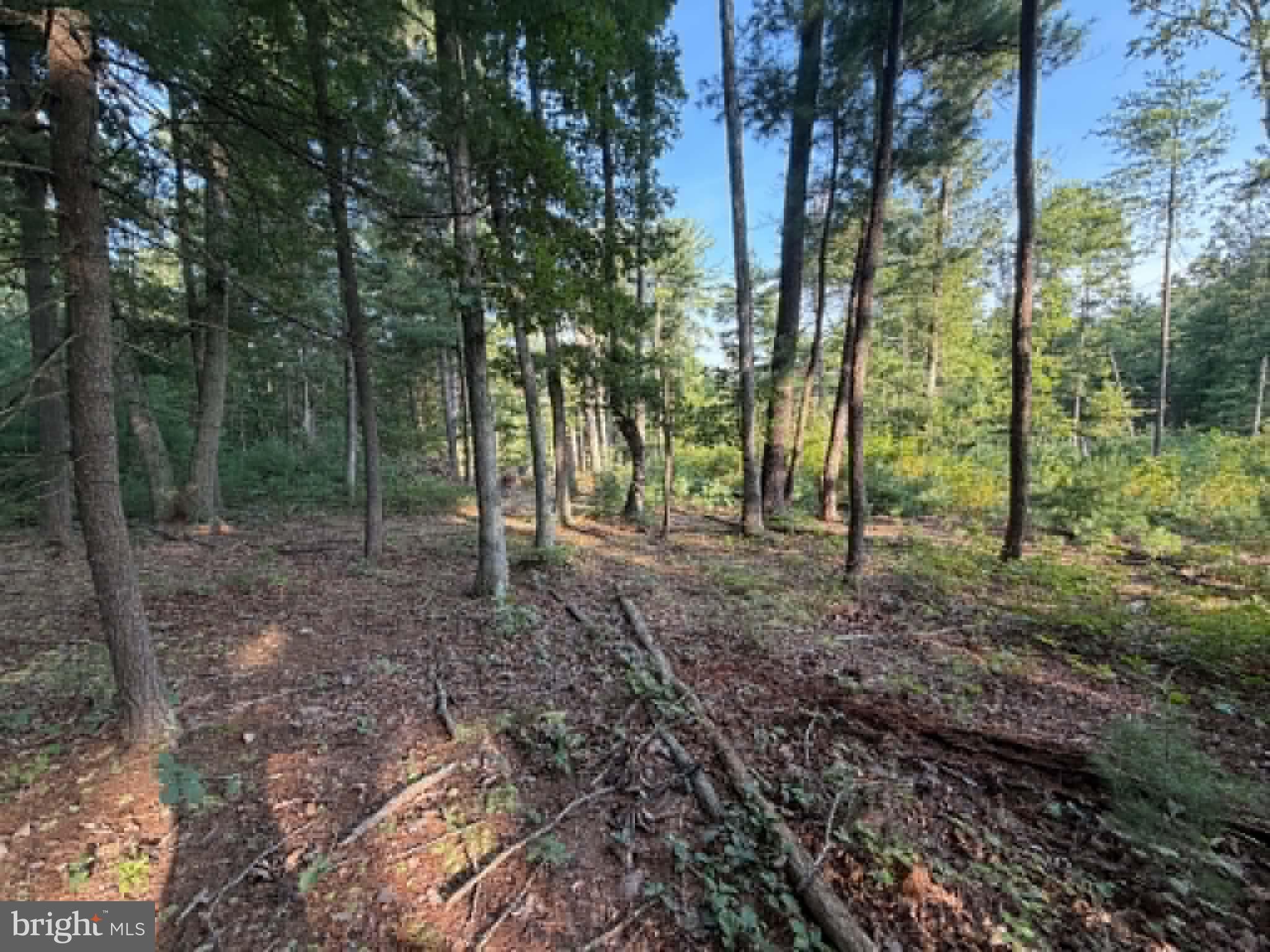 Lot 9 HICKORY LANE