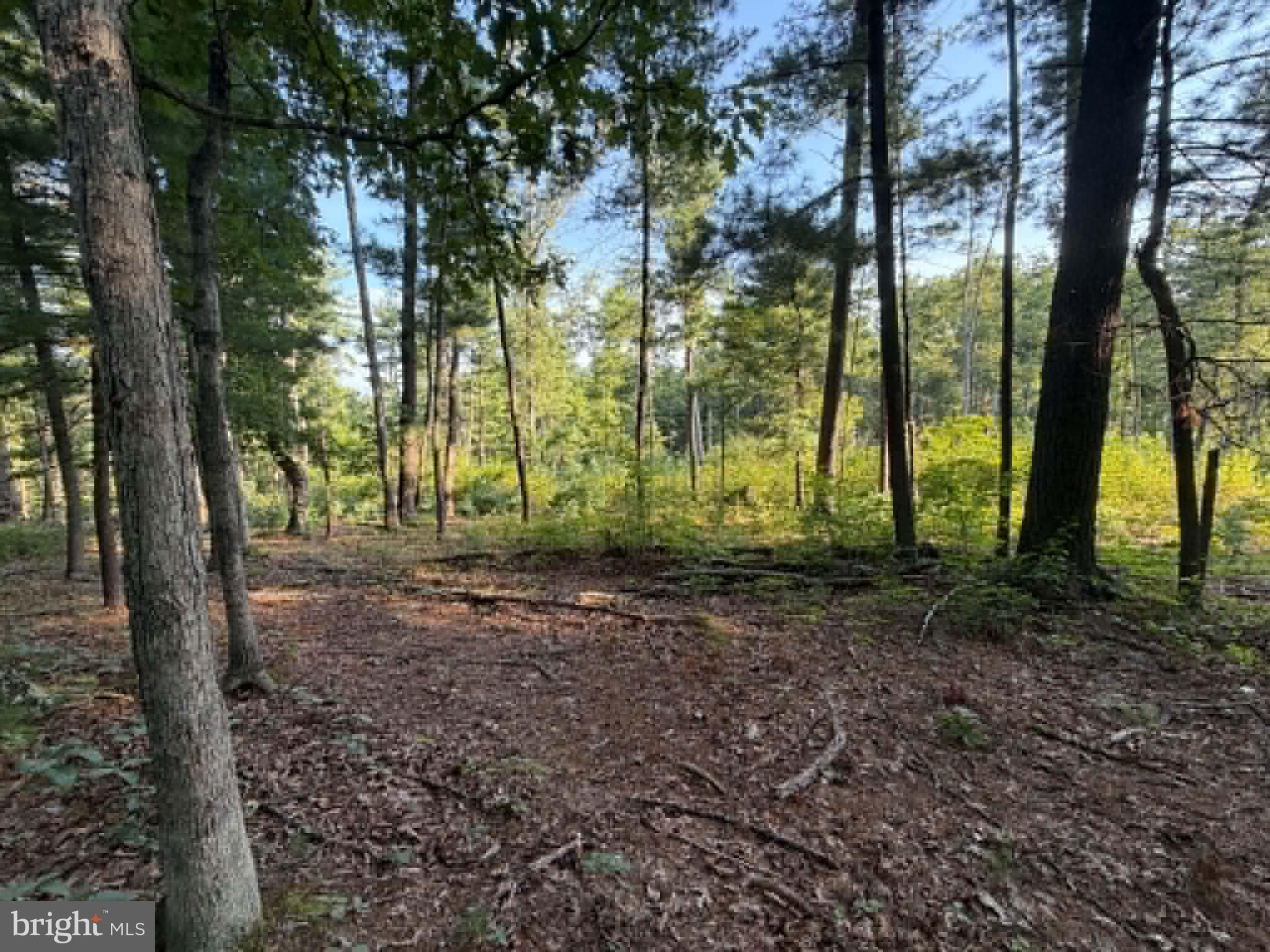 Lot 9 HICKORY LANE