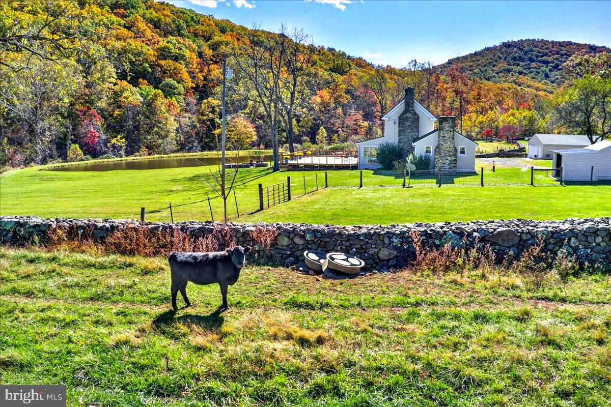 NONE AVAILABLE - Farm