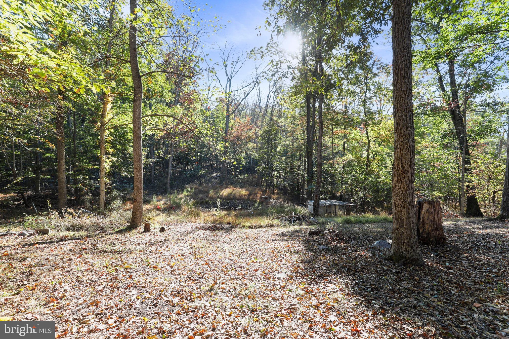 480 MAVERICK TRAIL