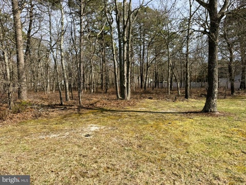 Featured picture for the property NJOC2041062