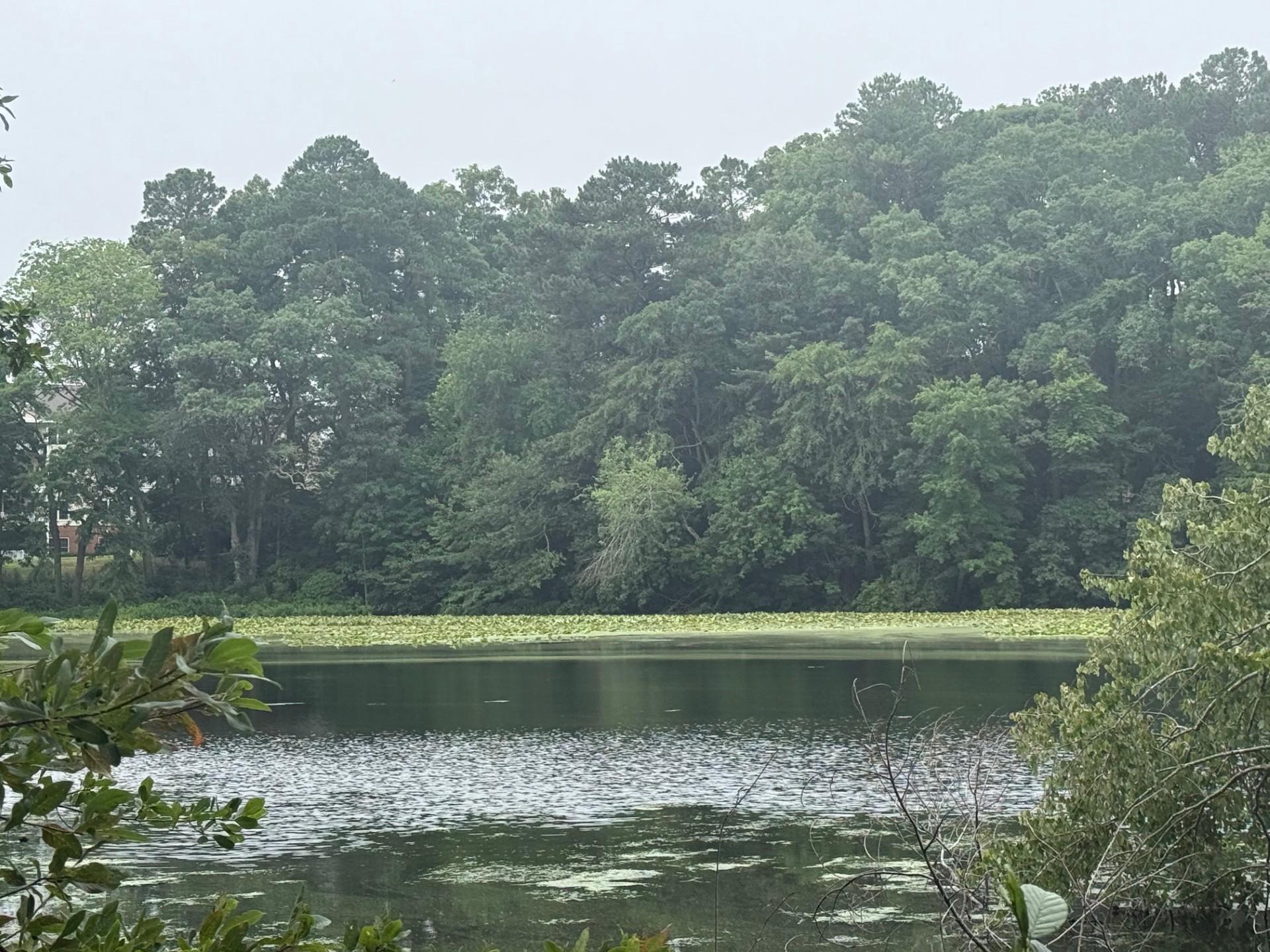 SCHUMAKER WOODS CIRCLE