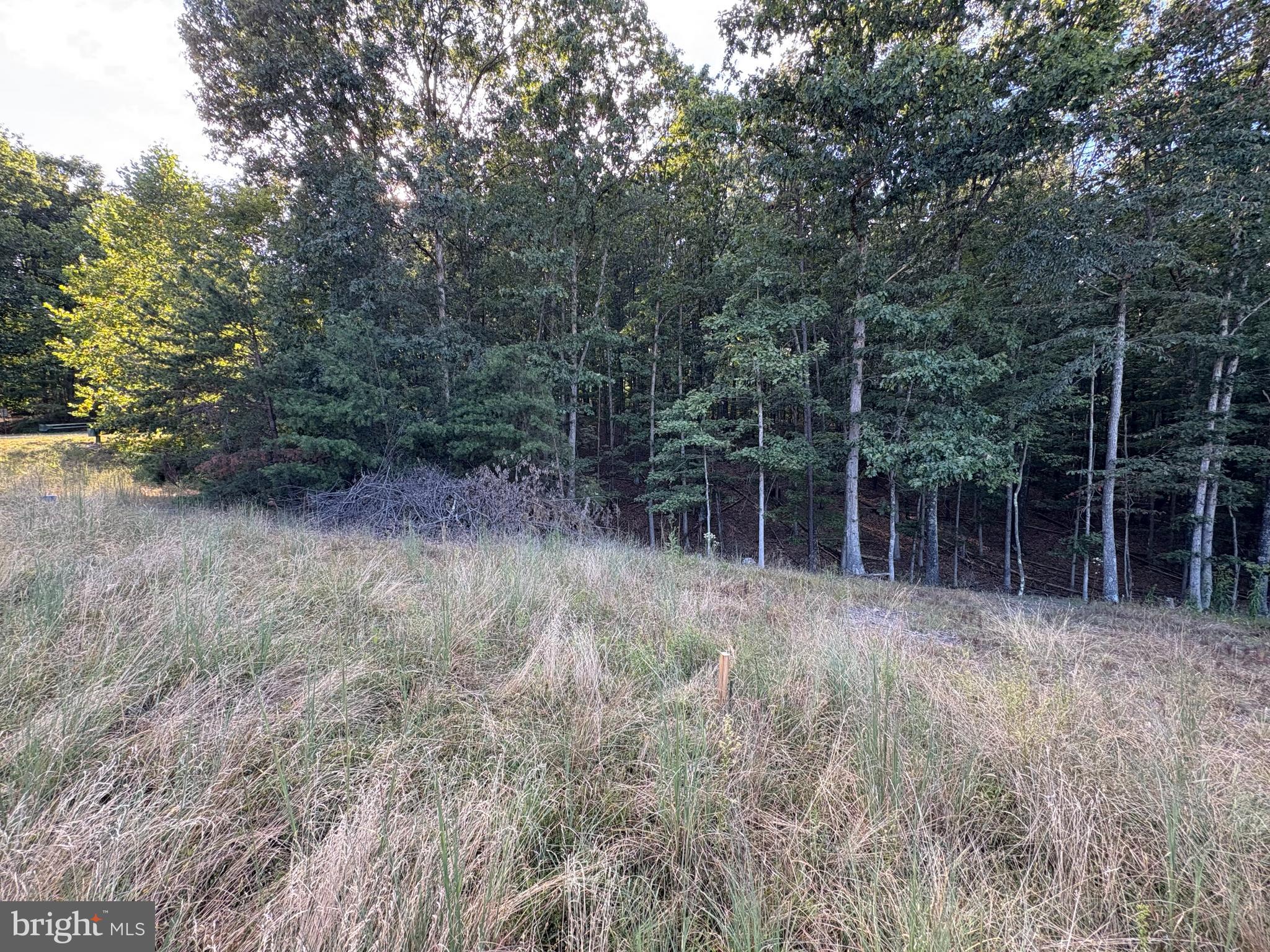 TWIN LAKES EAST - Land