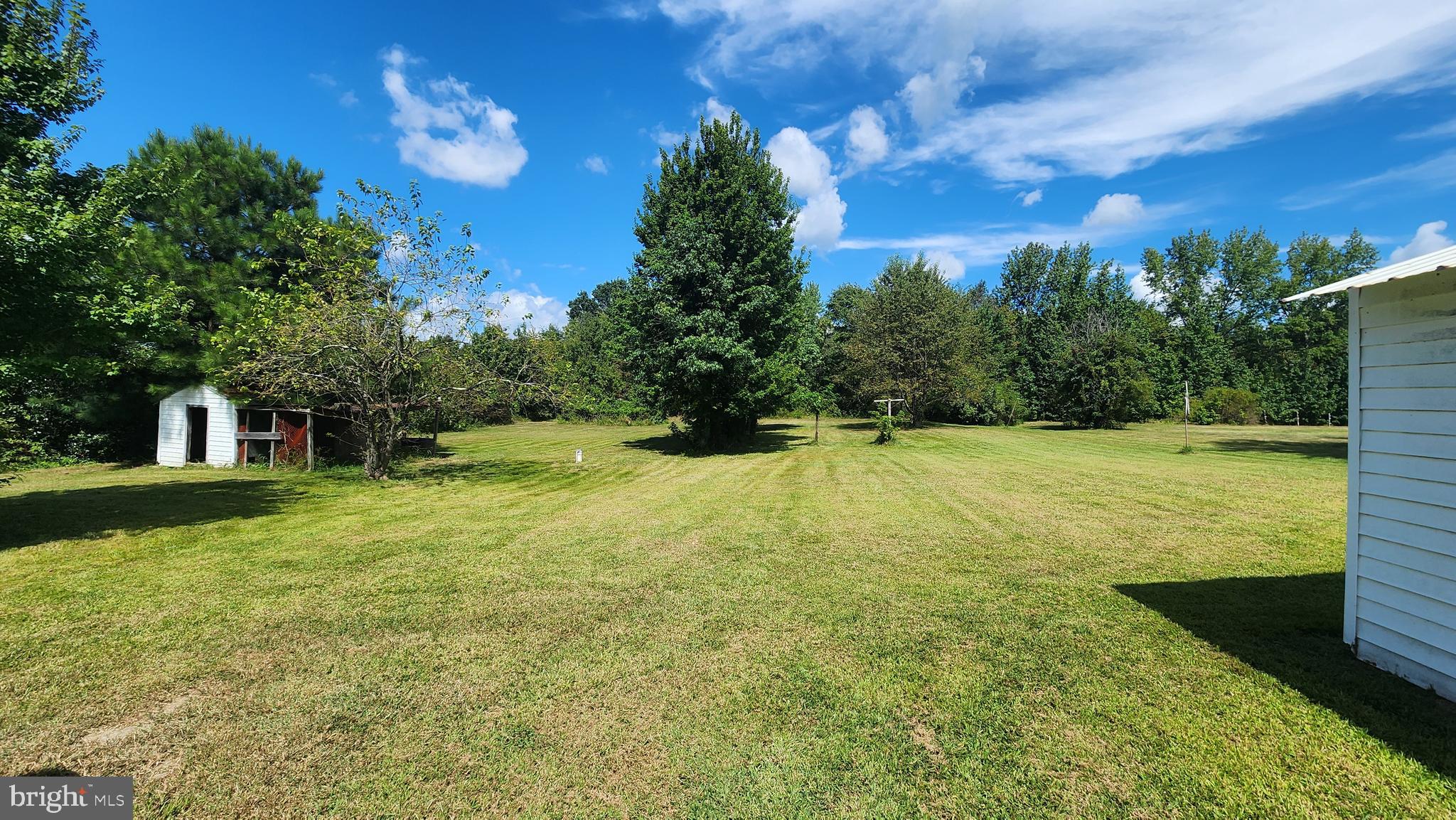 6289 MUD MILL ROAD