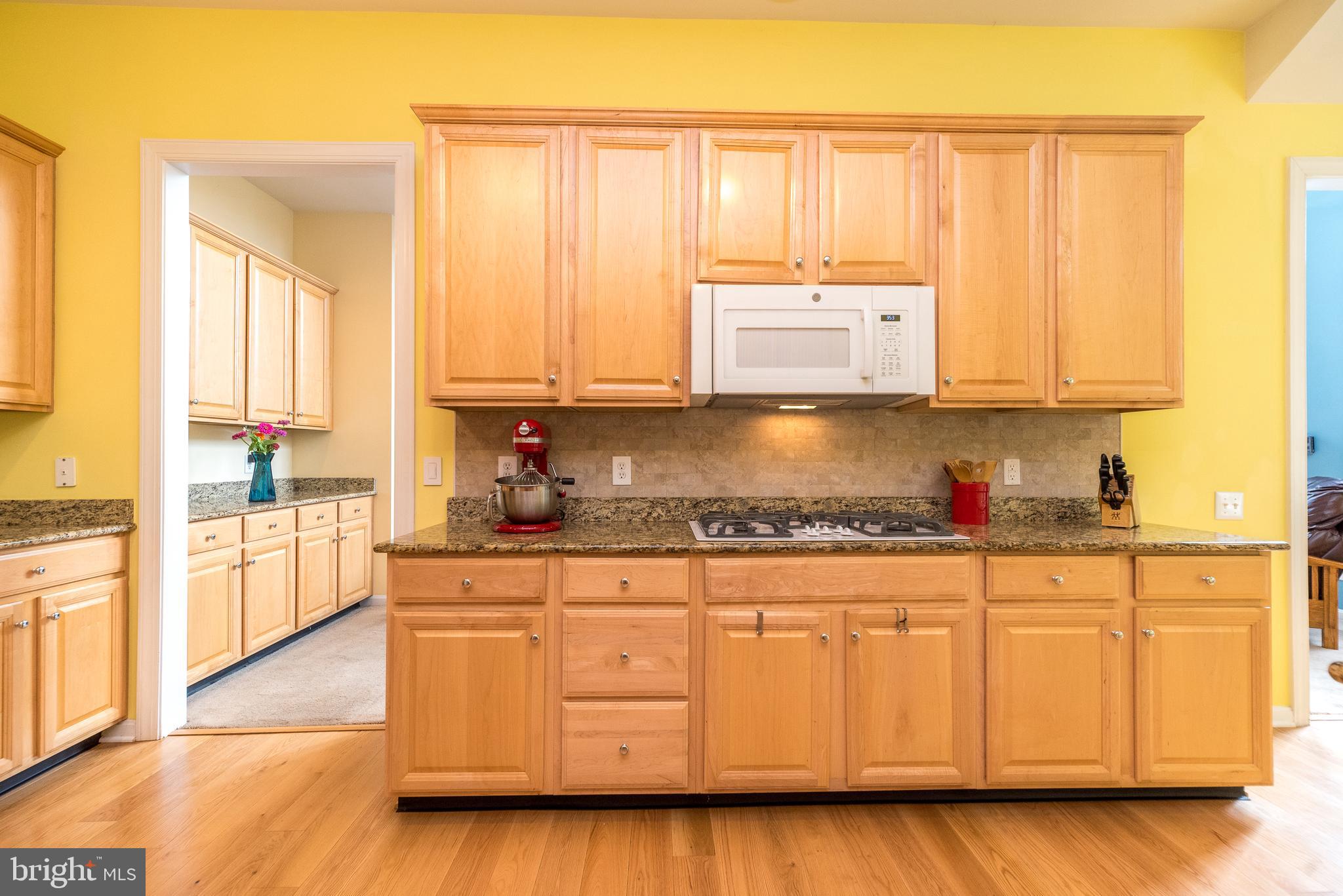 RESERVE AT GWYNEDD - Residential