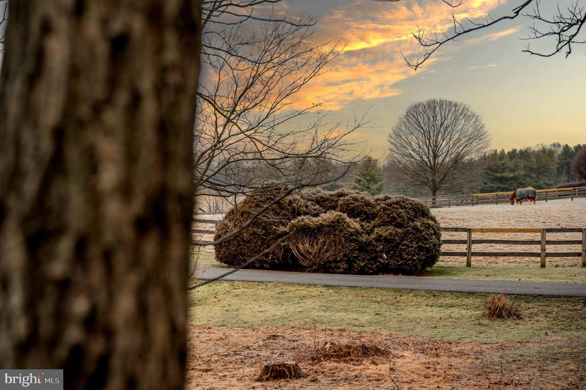 WORTHINGTON VALLEY - Residential