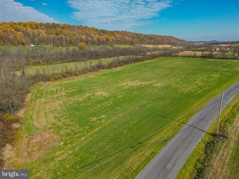 Vacant Land For Sale - 2336 Snyder Avenue #3 LOT<br/> BEAVER SPRINGS, PA 17812