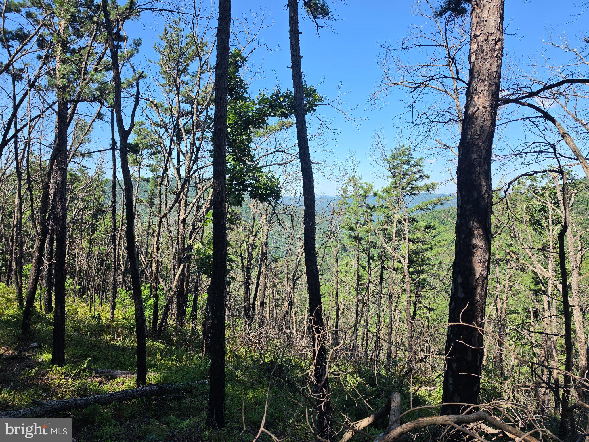 Lot 75 HUNTERS RIDGE TRAIL