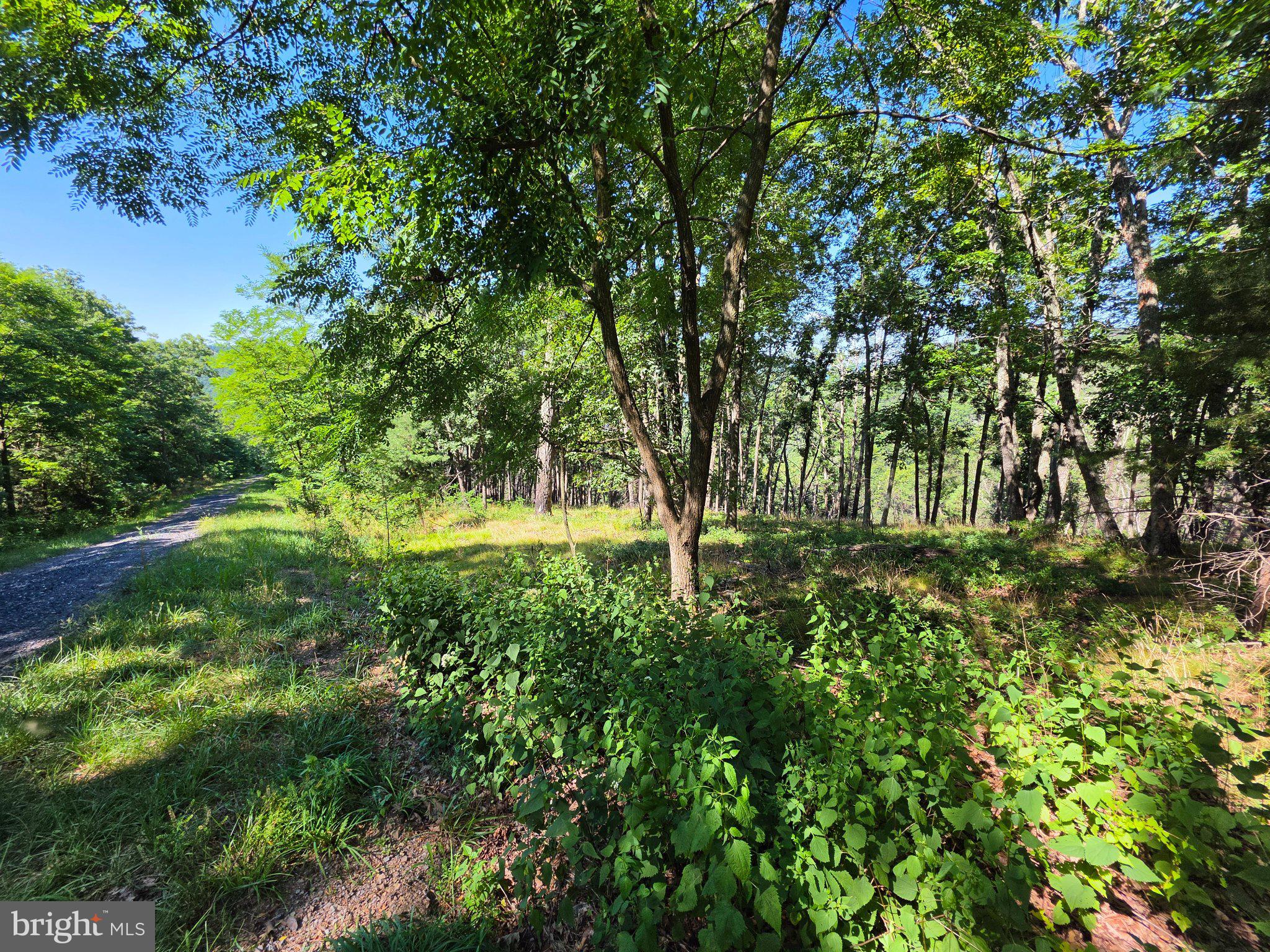 Lot 75 HUNTERS RIDGE TRAIL
