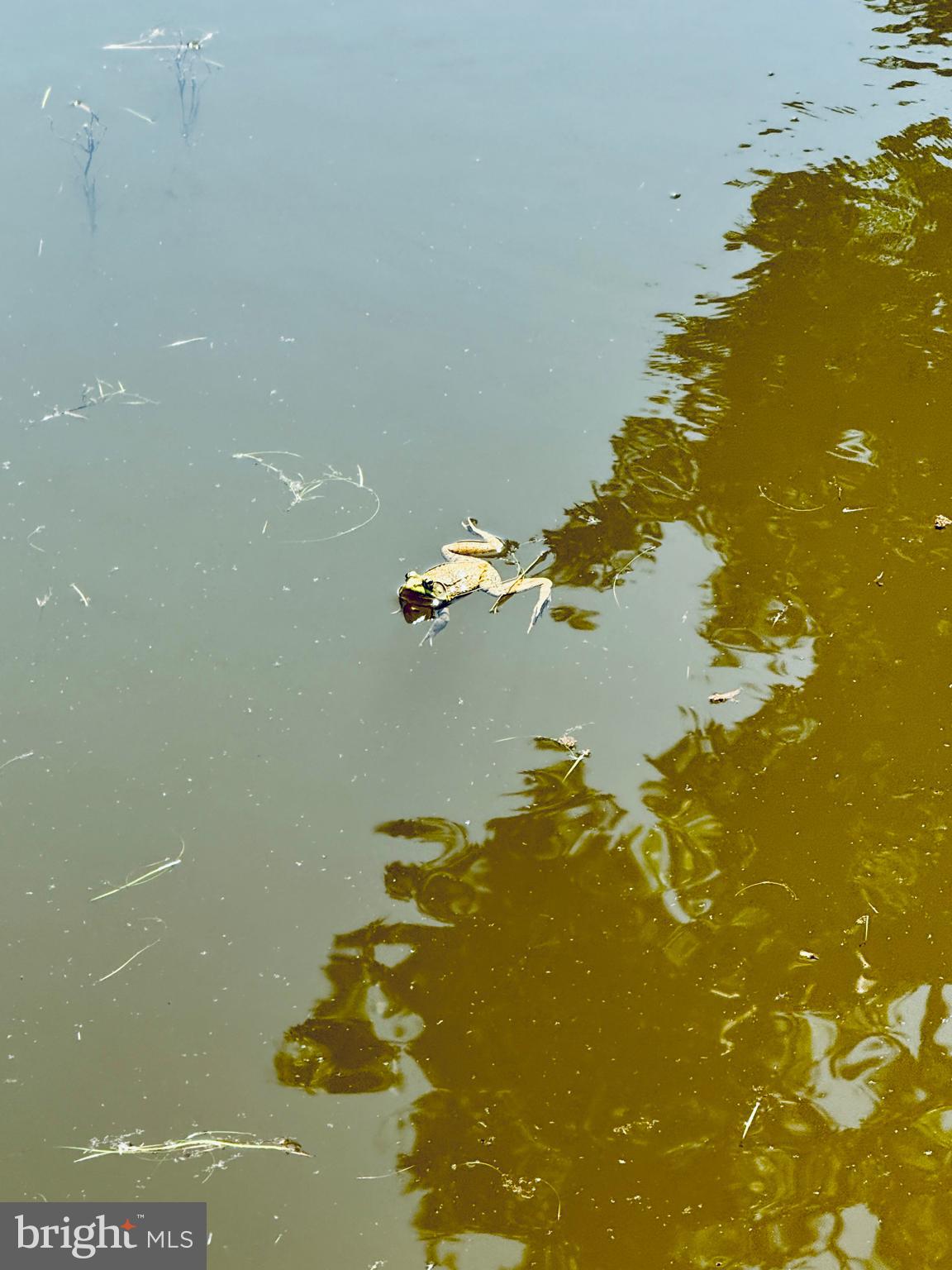 UNRESTRICTED - Residential