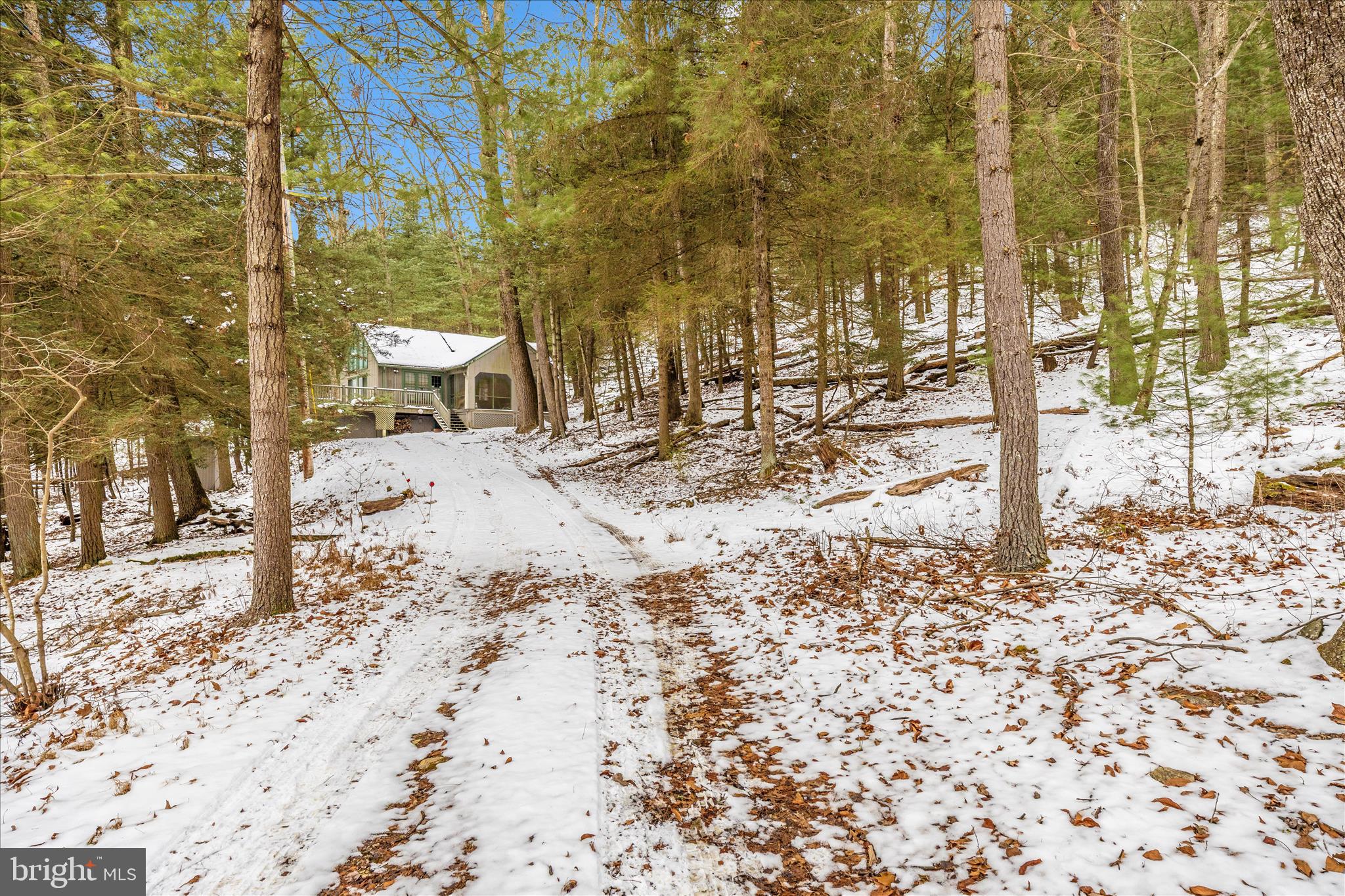 MICHAUX STATE FOREST - Residential