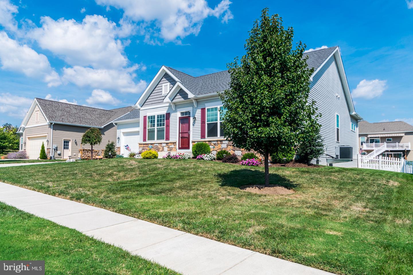 NORBORNE GLEBE - Residential